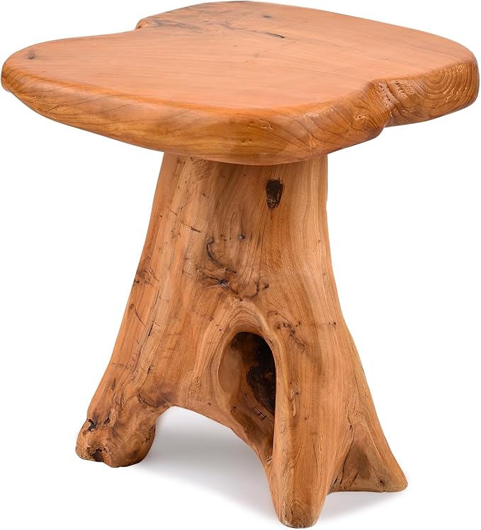 Small Side Table, Freeform Live Edge Wood Stool, Unique Design Natural Plant