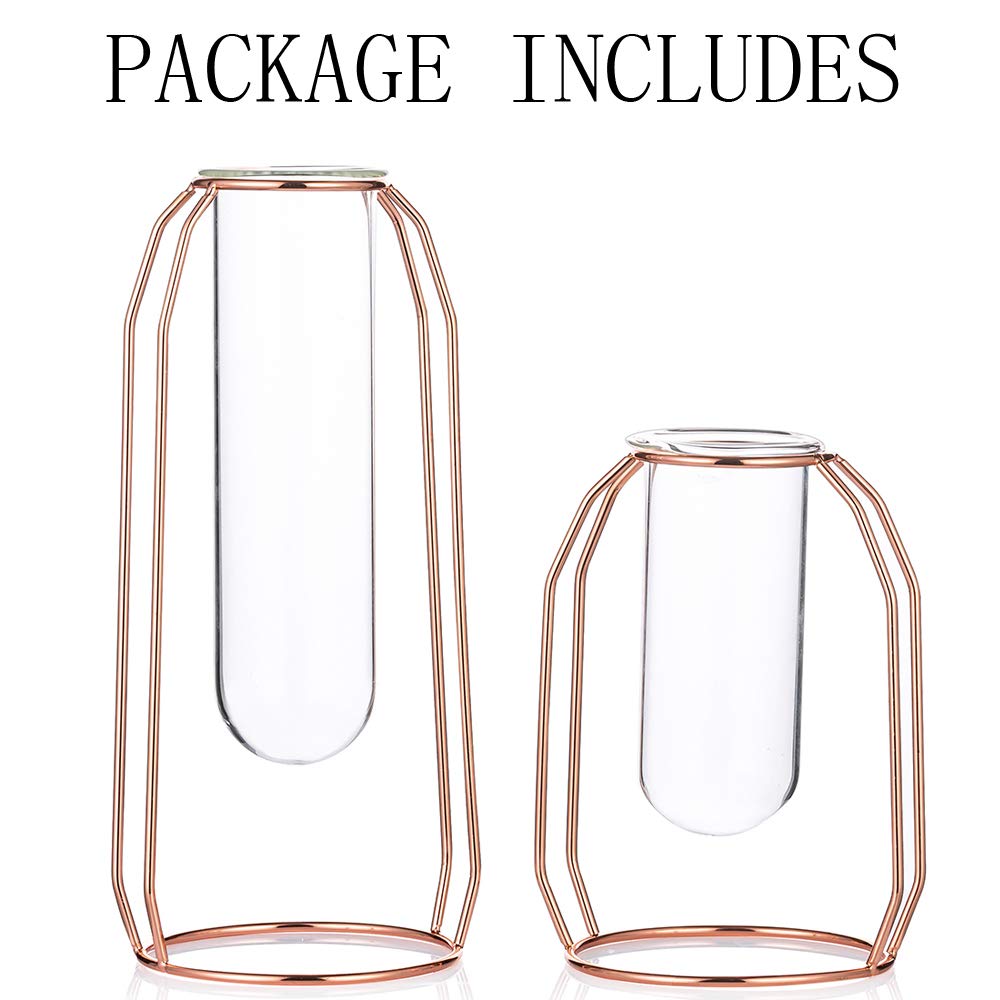 Vases Set of 2 Glass Vases with Metal Frame, Modern Rose Gold Frame Cylinder Clear Vase Planter Terrariums, Flower Holder Decorations for Wedding Living Room, Office, Party (Rose Gold, S+L)