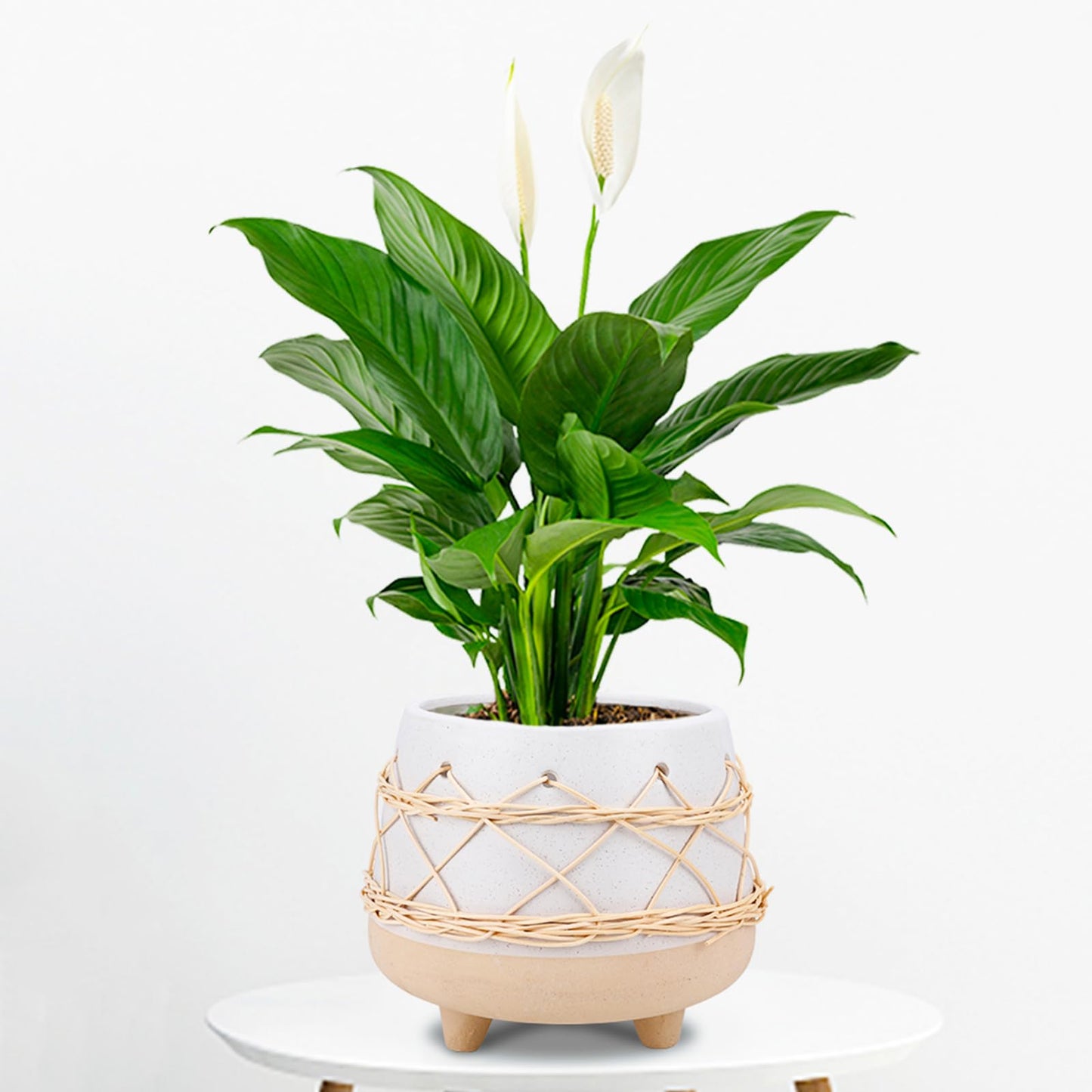 Chonsun Ceramic Planter 8 Inch Plant Pots Indoor Outdoor Planter with Drainage Hole Flower Pots Plant Pot Ceramic Mid-Century