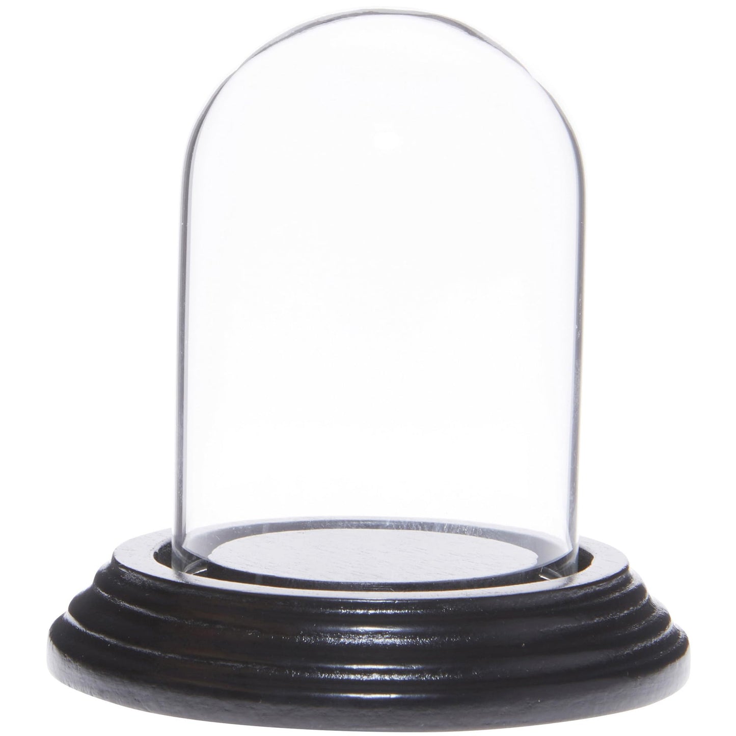 Plymor 2" x 3" Mini Glass Display Dome Cloche (Black Wood Veneer Base)