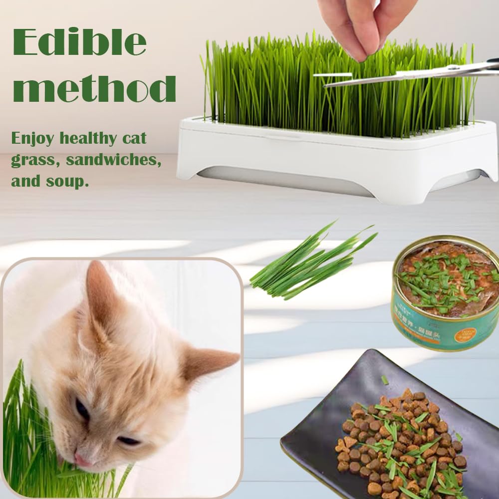 YjiaYjiaY 2-Pack Cat Grass Planter (No Seeds Included), Tri-Section Design, Anti-Pull Out Cat Grass Seed Starter Tray, Sprouts Growing Kit, Microgreens Growing Trays