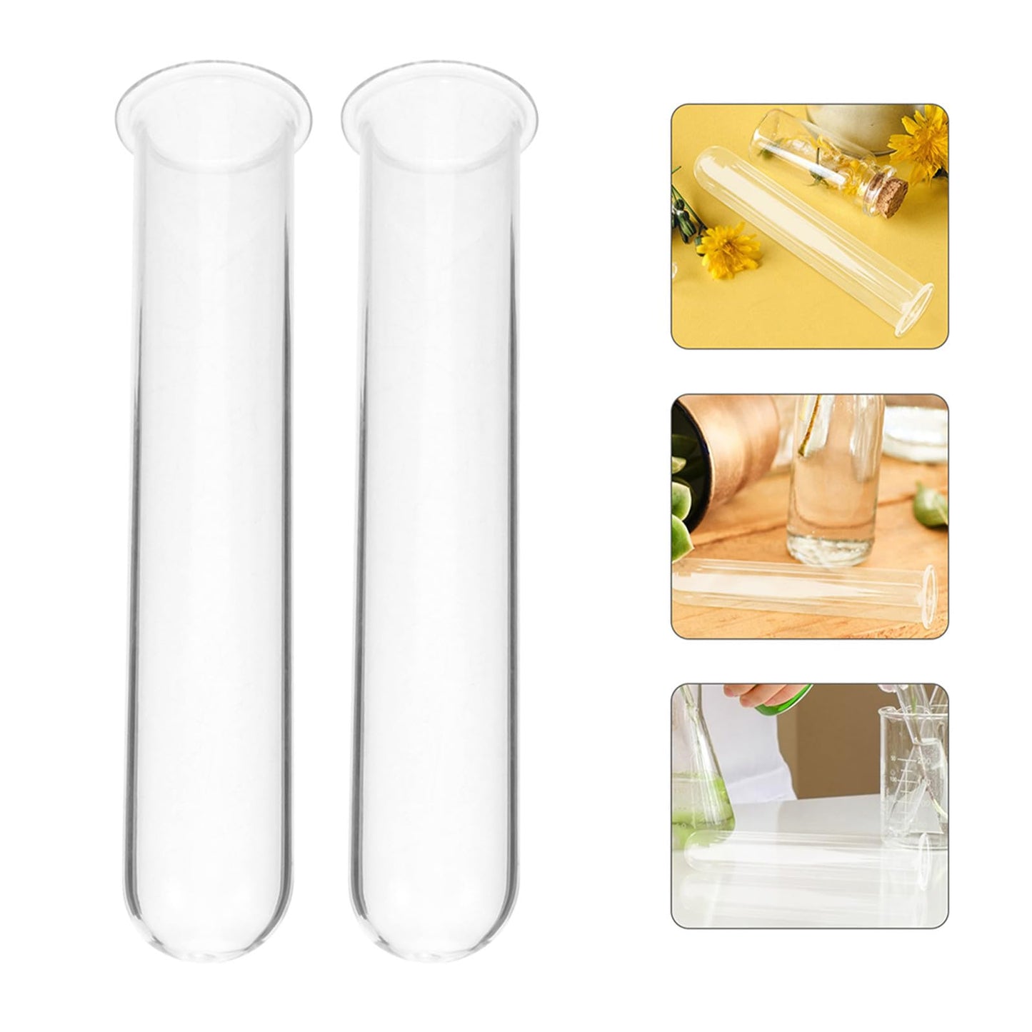 STAHAD Glass Hydroponic Vase Plant Propagation Tubes 5pcs 2.5x3x15cm Test Tubes for Small Terrarium Plants Home Desk Decoration