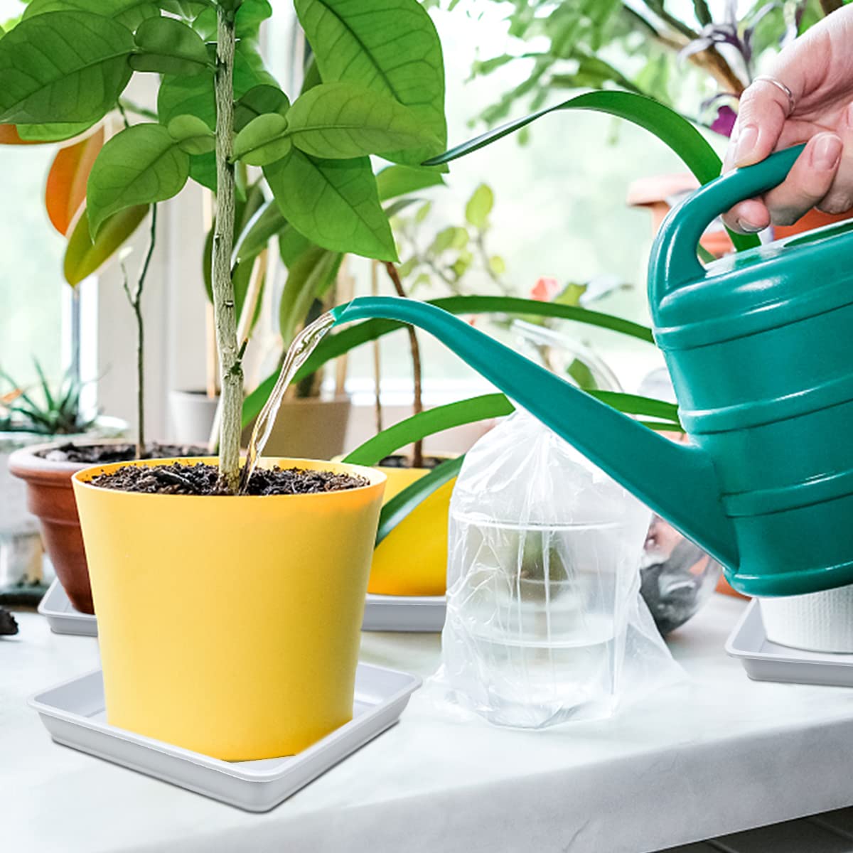 LNQ LUNIQI 10 Pcs 6 Inches Square Plastic Plant Saucer Flower Pot Bottom Seat Flower Pot Tray Thick Plastic Drip Tray for Garden Potted Water Drips and Soil (White)