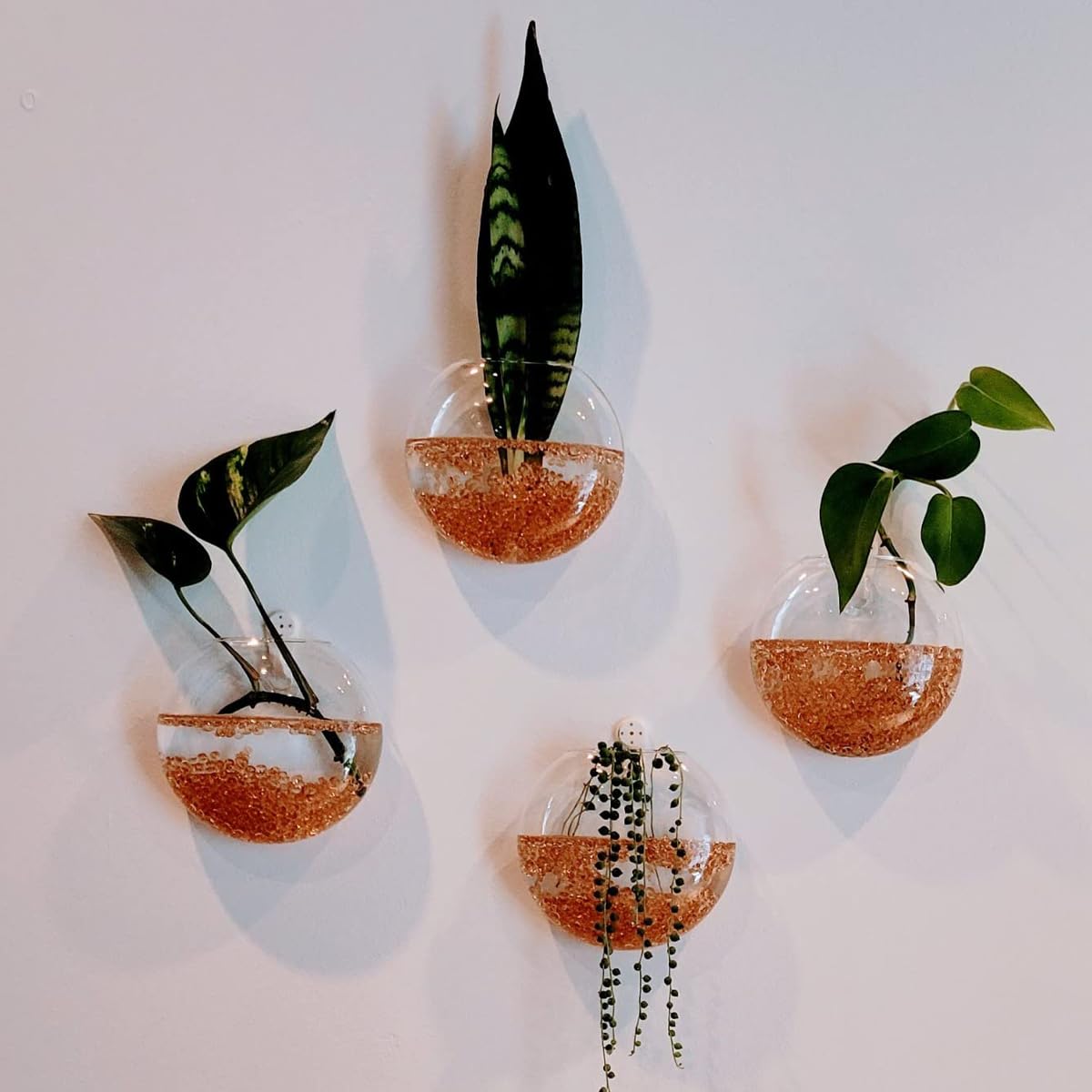 4 PCS Wall Propagation Planters, Wall Planter for Indoor Plants Oblate Glass Vases, Glass Flower Vase Holder for Hydroponics Plants Propagatio Modern Home Corridor Decor