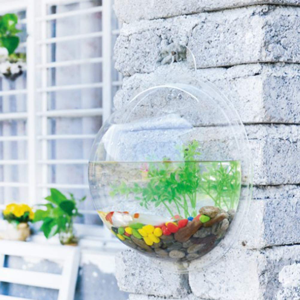 iplusmile Wall Mounted Planter 6.7 Inch, Clear Acrylic Hanging Bubble Vase for Plant Propagation Air Plants, Shatterproof Round Terrarium Bowl for Home Office Decor