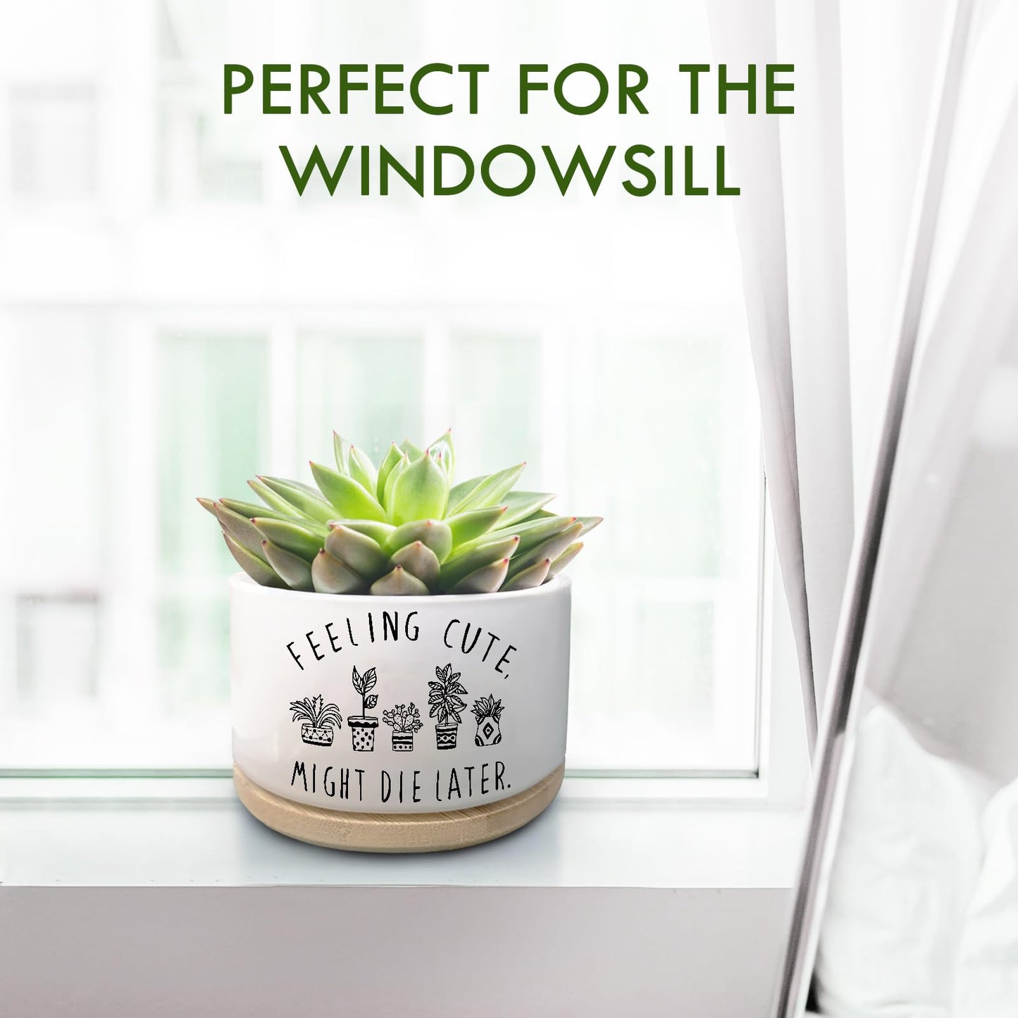 Jutasty Funny Succulent Plant Pot, Small Flower Planter for Indoor Plants, Cute Ceramic Cactus Planter Pots with Drainage, Windowsill Desk Decor Unique Planter Gift, Feeling Cute (No Plants)