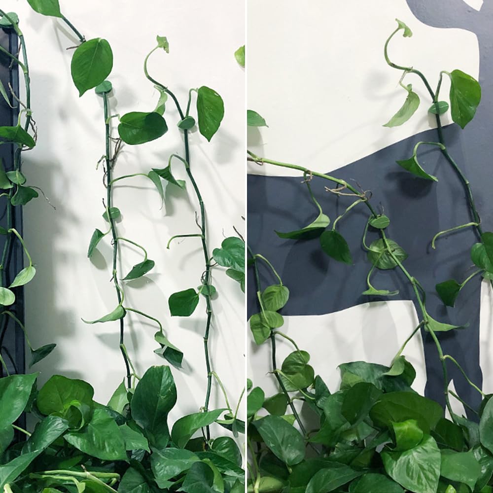 Plant Climbing Wall Fixture Clips, 60/100/150pcs Plant Vine Support Clips for Climbing Plants Vines, Removable Leaf Shaped Retainer Plants Training Wall Clip with Sticker for Indoor Decoration (60)