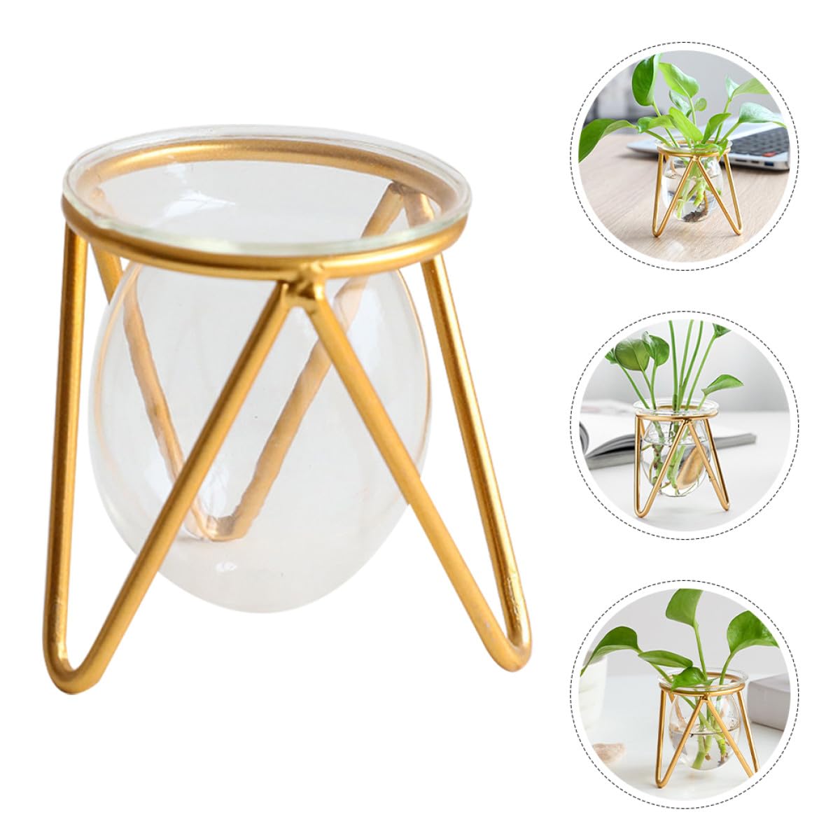 Unomor Glass Hydroponic Plant Vase with Gold Metal Stand Small Tabletop Flowerpot for Indoor Air Plants and Terrarium Décor for Home and Wedding