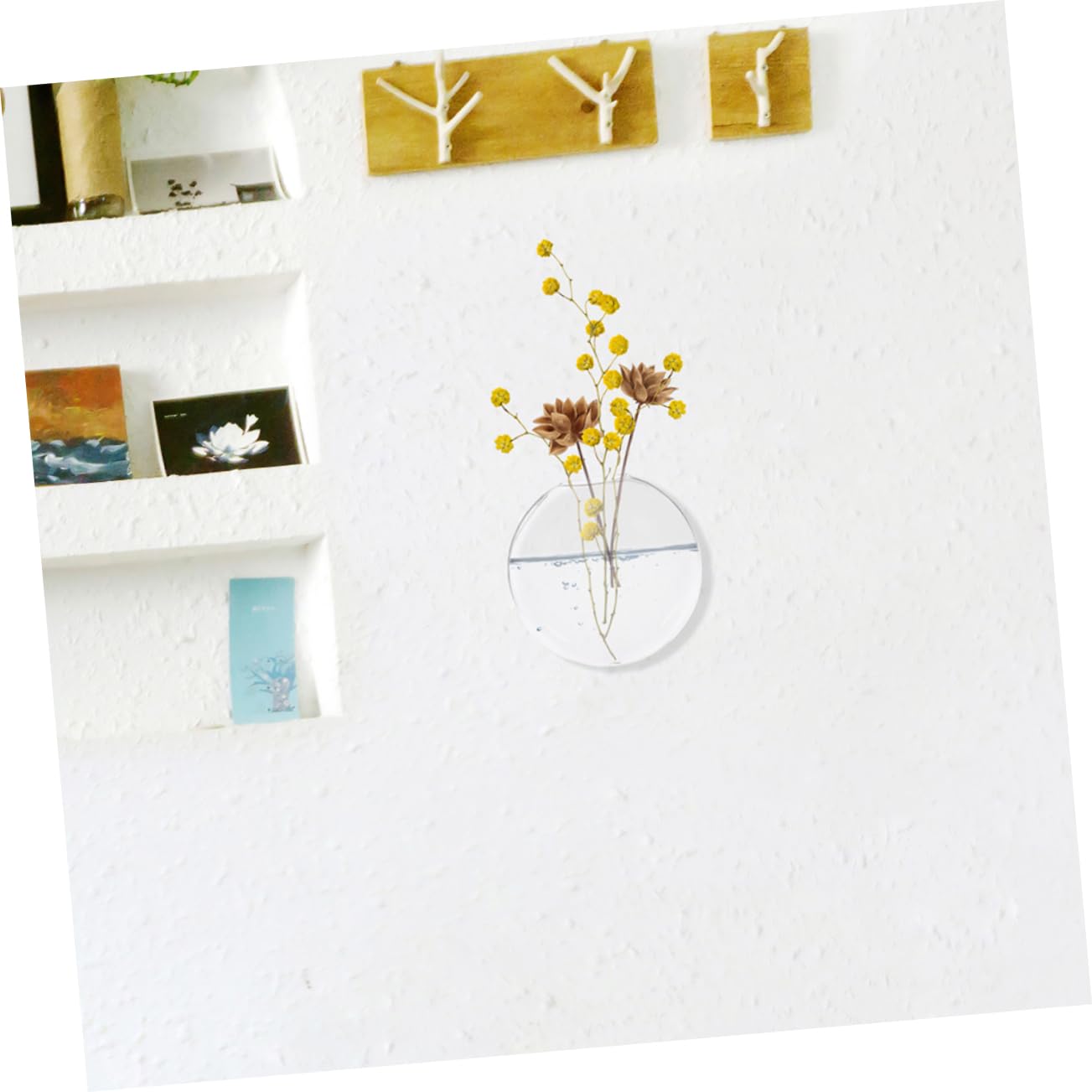 Alipis 6pcs Stylish Wall Hanging Hydroponic Vase Glass Terrarium for Indoor Plant Decor