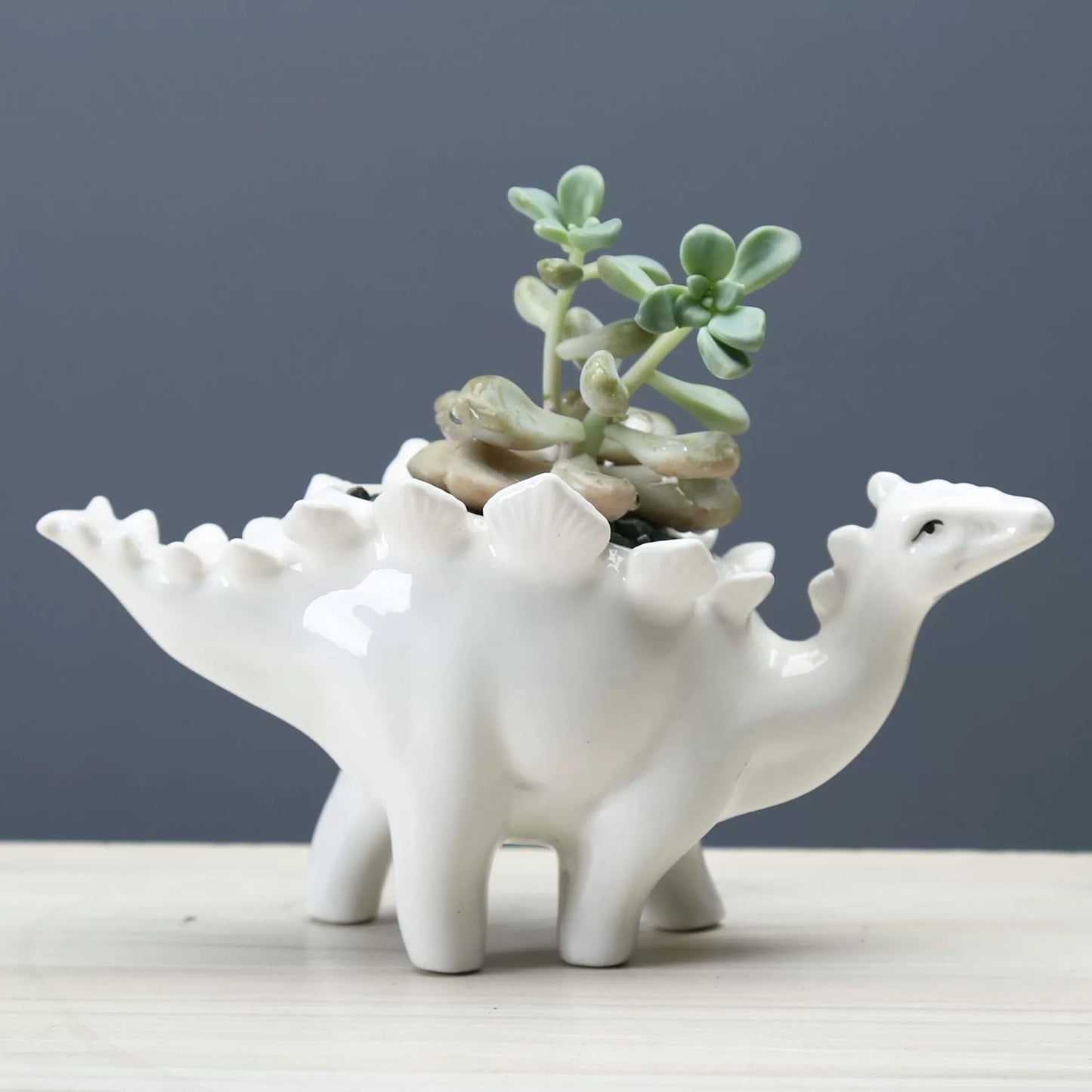 Funducts Cute Ceramic Succulent Stegosaurus Garden Pots w/Pottery Quality Finish, Cute Planting Pot, Indoor Plant Pot for Flowers & Herbs,Home Desktop Office Windowsill Decoration Gift.