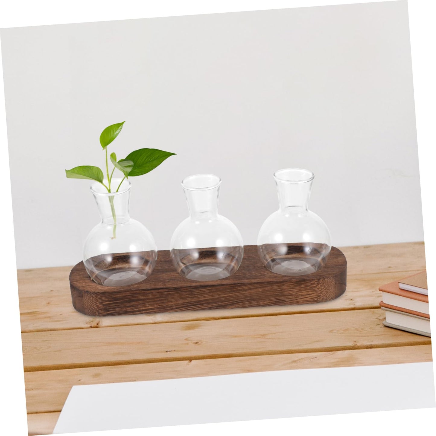 FONDOTIN Hydroponic Glass Vase with Wooden Base for Home and Office Decoration Plant Arrangement Container Stylish Desktop Terrarium for Greenery