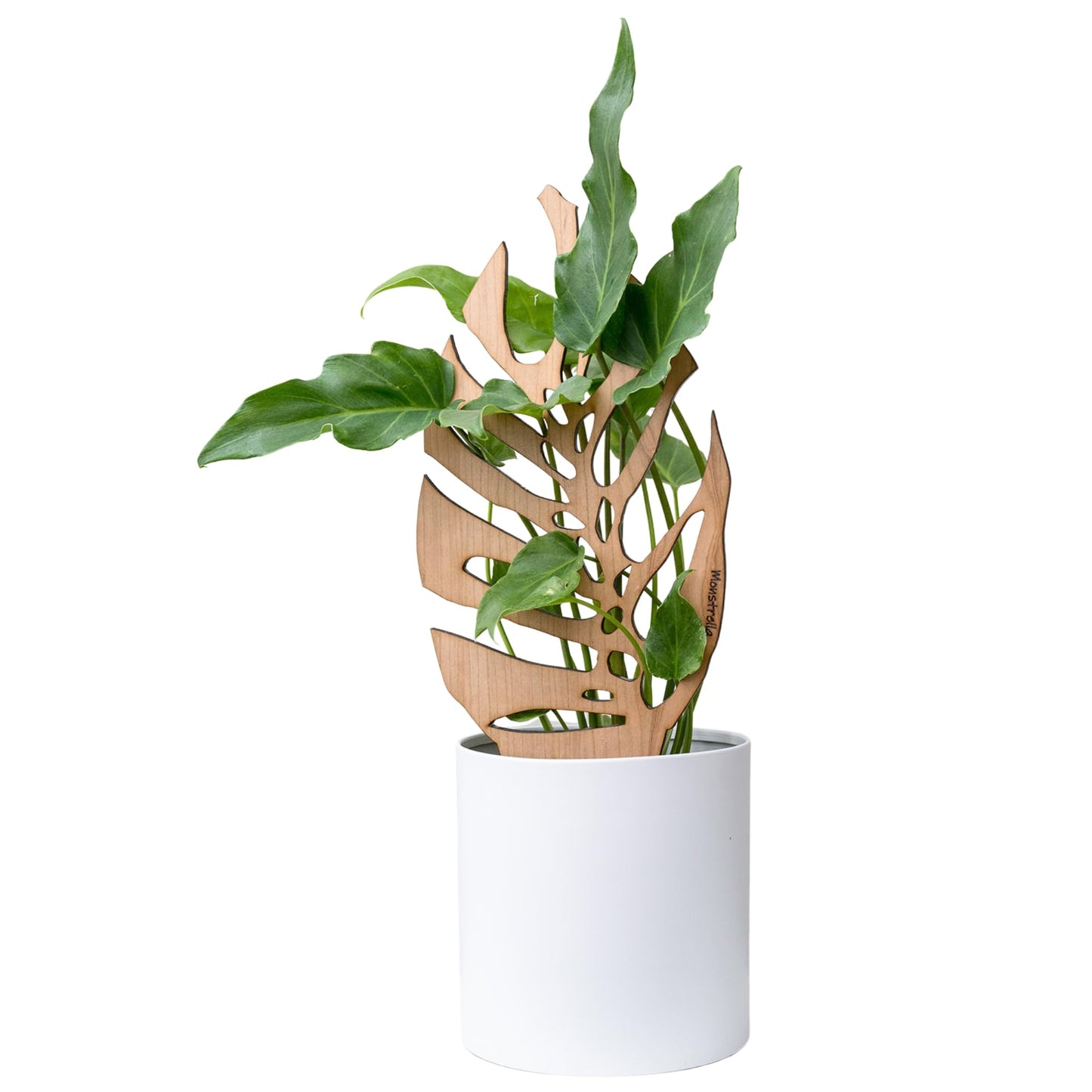 Treleaf Bare™ Monstrella™ – Customizable Wooden Monstera Leaf Plant Trellis – Grande Size 24” Indoor Plant Support and Decorative Houseplant Stake for Potted Climbing Plants