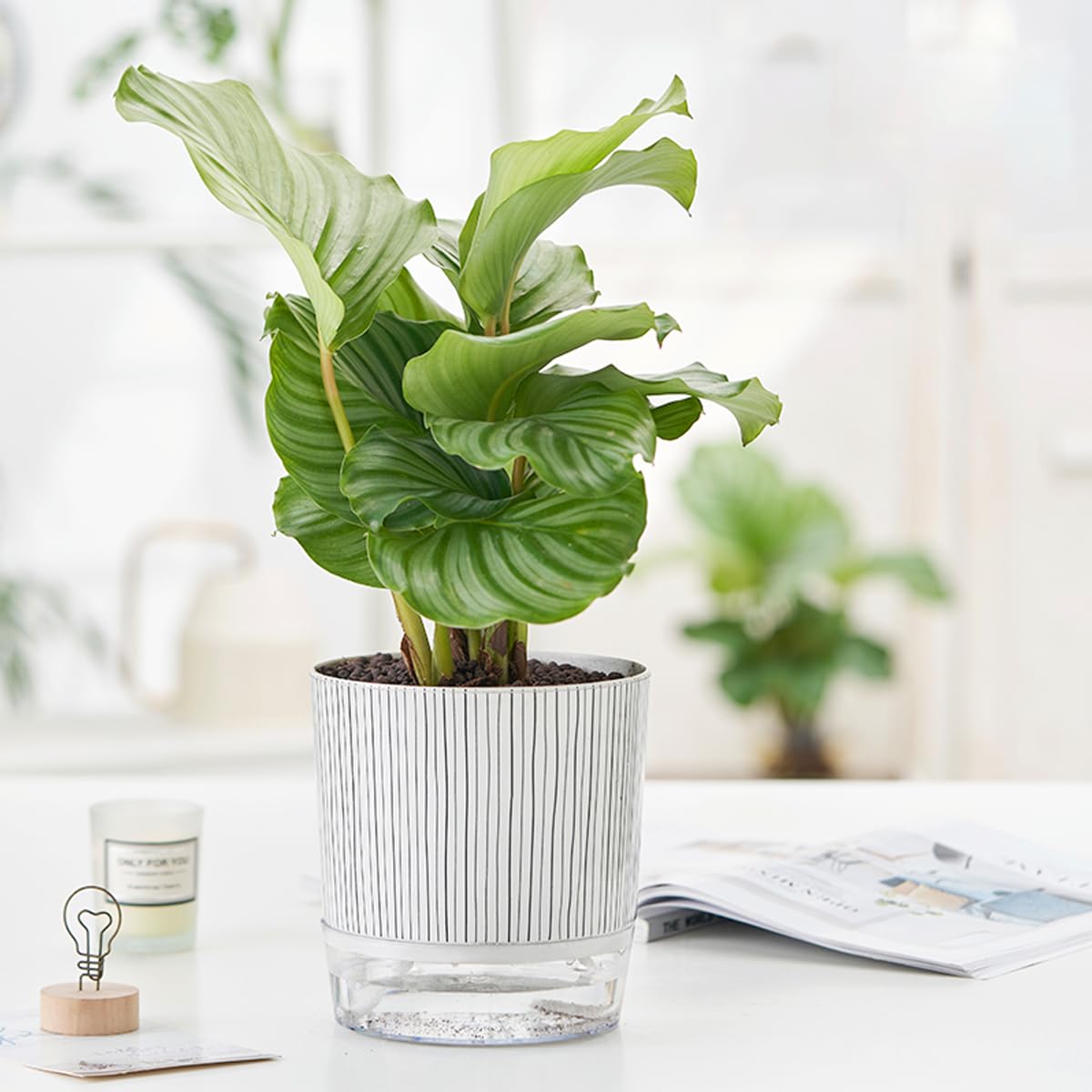 XKYQSY 3 Pack 4.3+5.5+6.3 Inch Self Watering Pots Set, Self Watering Planter with Reservoir and Wick Rope for Indoor/Outdoor Plants, Modern Houseplants Pots for African Violets,Cactus,Succulents