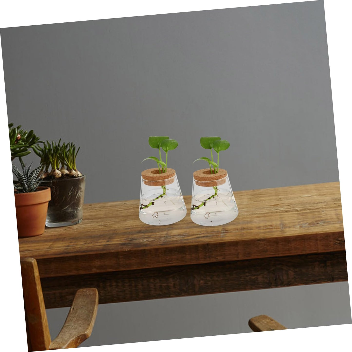 Cabilock 2Pcs Glass Terrarium Vases for Hydroponic Plants Stylish Desktop Planter for Home Office Decor Design for Floral Arrangements Present Ideas Opening