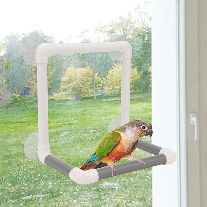 Hypeety Bird Parrot Stand Perch Shower Perch Standing Toy Portable Suction Cup Parrot Bath Stands Suppllies Holder Platform Parakeet Window Wall Hanging Play (4 Suction Cups)
