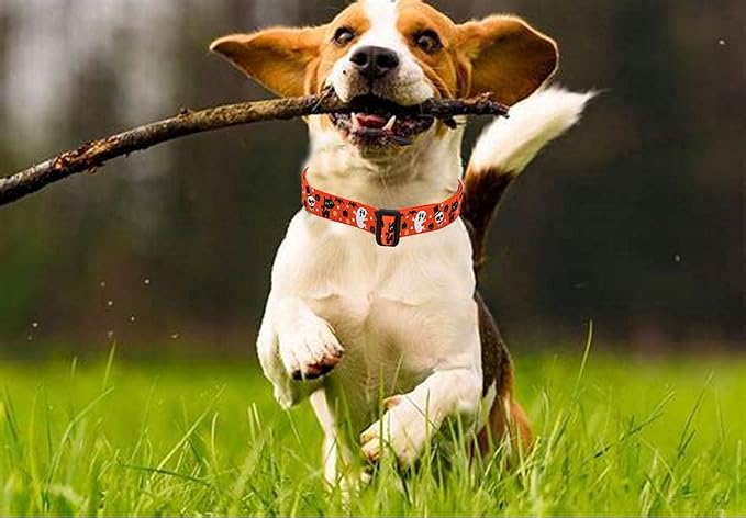 Mihqy Halloween Dog Collar - Pumpkin Bat Ghost Pattern - Adjustable for Small Medium Large Dogs(Halloween,S)