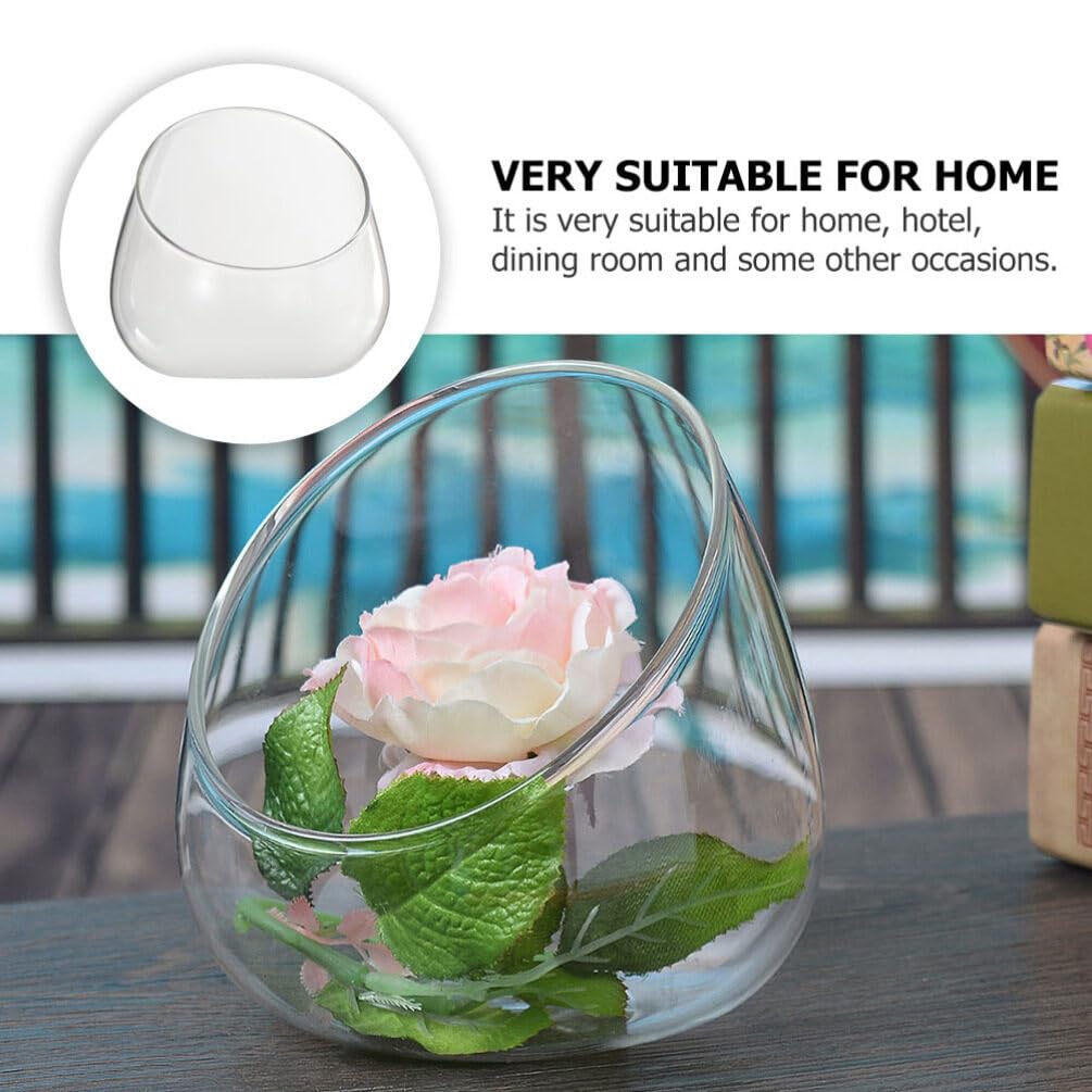 GANAZONO Garden Plant Eco Bottle Glass Terrarium Large Sturdy Succulent Pot for Indoor Plant Dec