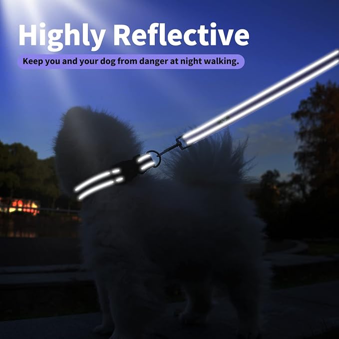IVY&LANE Reflective Dog Collar and Leash Set,Adjustable Neoprene Padded Dog Collars for Puppy, Breathable Nylon Pet Collar for Small Medium Large Dogs(Small,Purple)