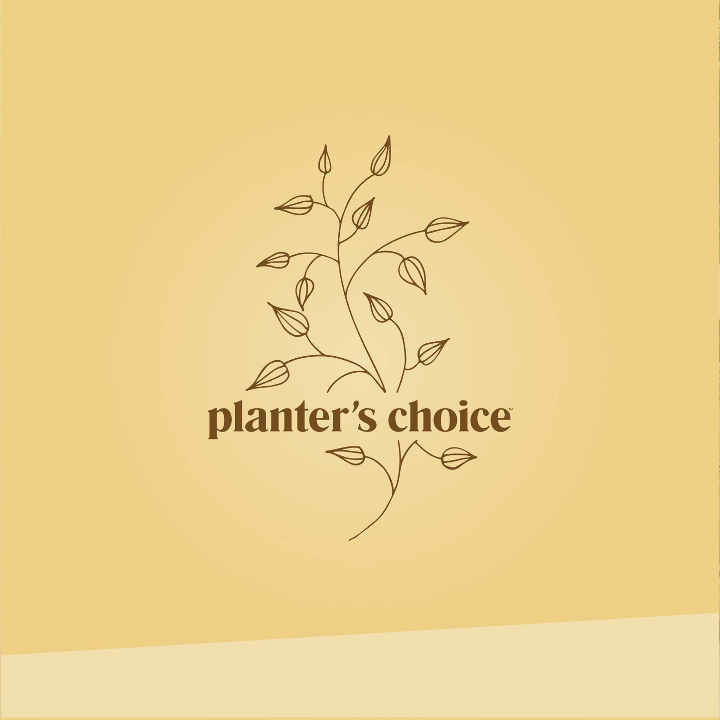 Planter's Choice Bonsai Tree Kit for Beginners & Plant Lovers - Grow Your Own Bonsai from Seed, 4 Species Starter Kit with Burlap Pots, Shears, Soil Disc, Markers & Guide, Gift for Mom or Grandma