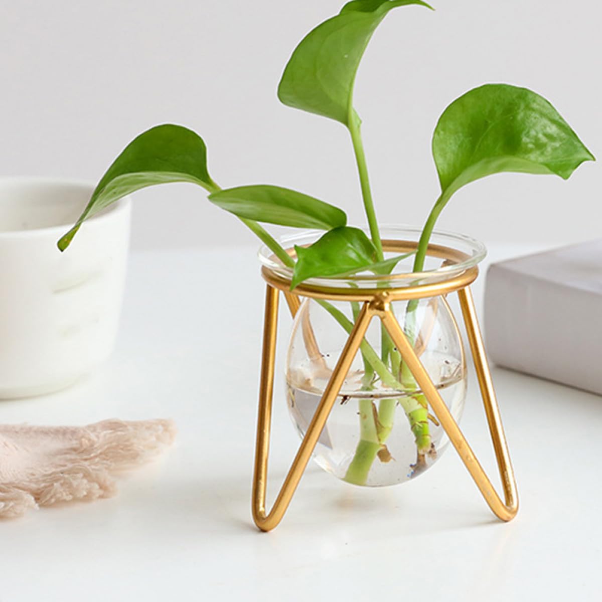 FELTECHELECTR Glass Vase with Metal Stand, Hydroponic Flower Holder Bulb Planter for Home Decor, Small Gold Desktop Plant Terrarium for Indoor Floral Display