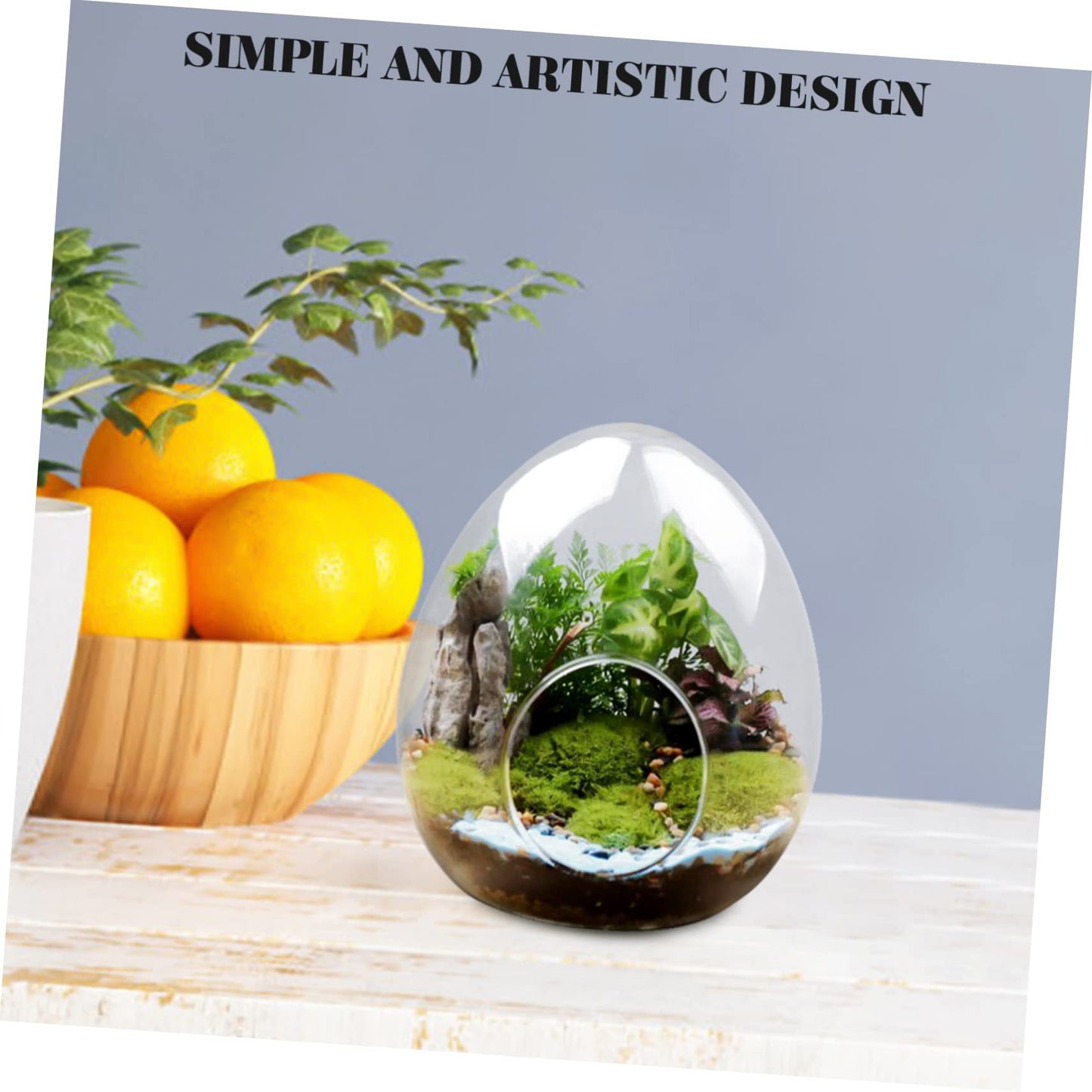 Totority Shape Moss Bottle Glass Terrarium for Plants Landscape Container Decorative and Functional Water Vase for Home and Garden