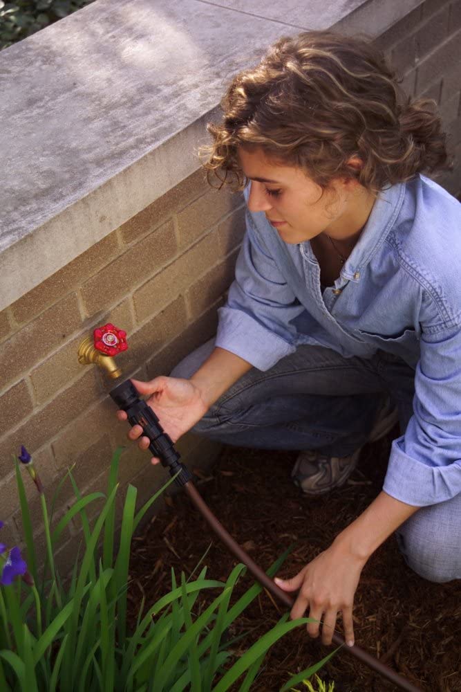 Rain Bird FCKIT-1PK Drip Irrigation Easy Fit Faucet Connection Kit for 1/2" Tubing, Includes Pressure Regulator and Filter