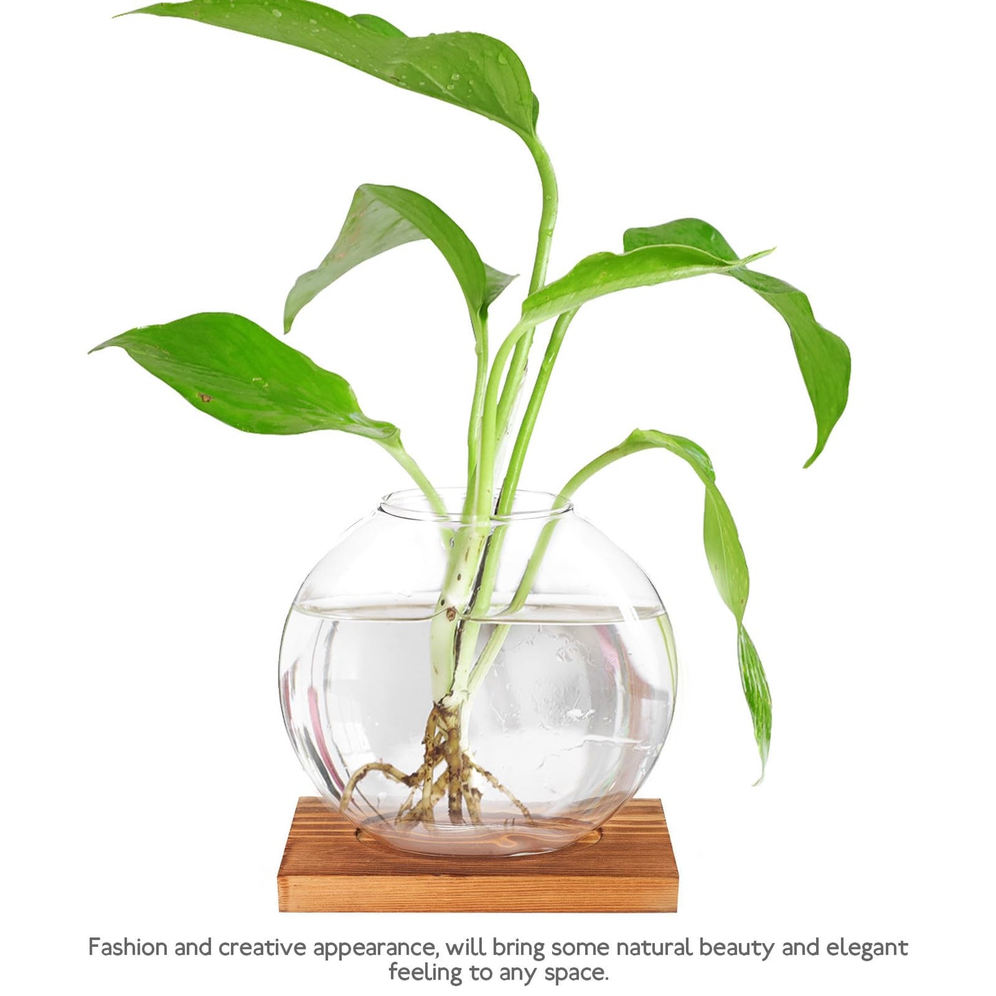 TOKIDNY Glass Plant Vase with Retro Wooden Base for Hydroponic Green Vine Propagation, Home and Office Decorative Flower Bottle Terrarium, Desktop Hydroponic Planter for Living Room