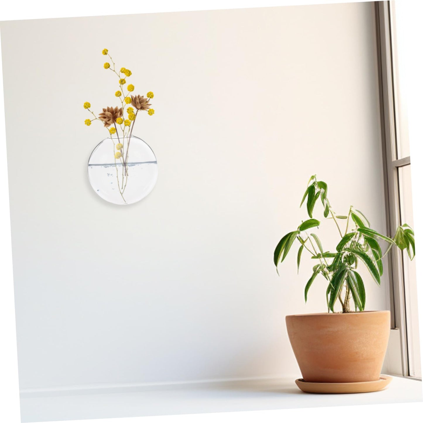 Ciieeo 2pcs Wall-Mounted Boho Decor Hydroponic Glass Vase Hanging Plant Terrariums for Home Office