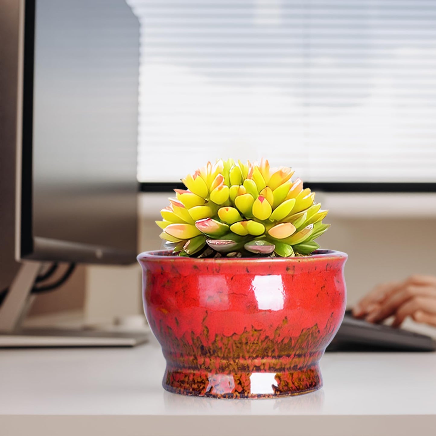 ARTKETTY Succulent Pots - 4.3 Inch Small Plant Pots with Drainage Set of 5, Ceramic Pots for Indoor Plants Glazed Cactus Flower Planter Container