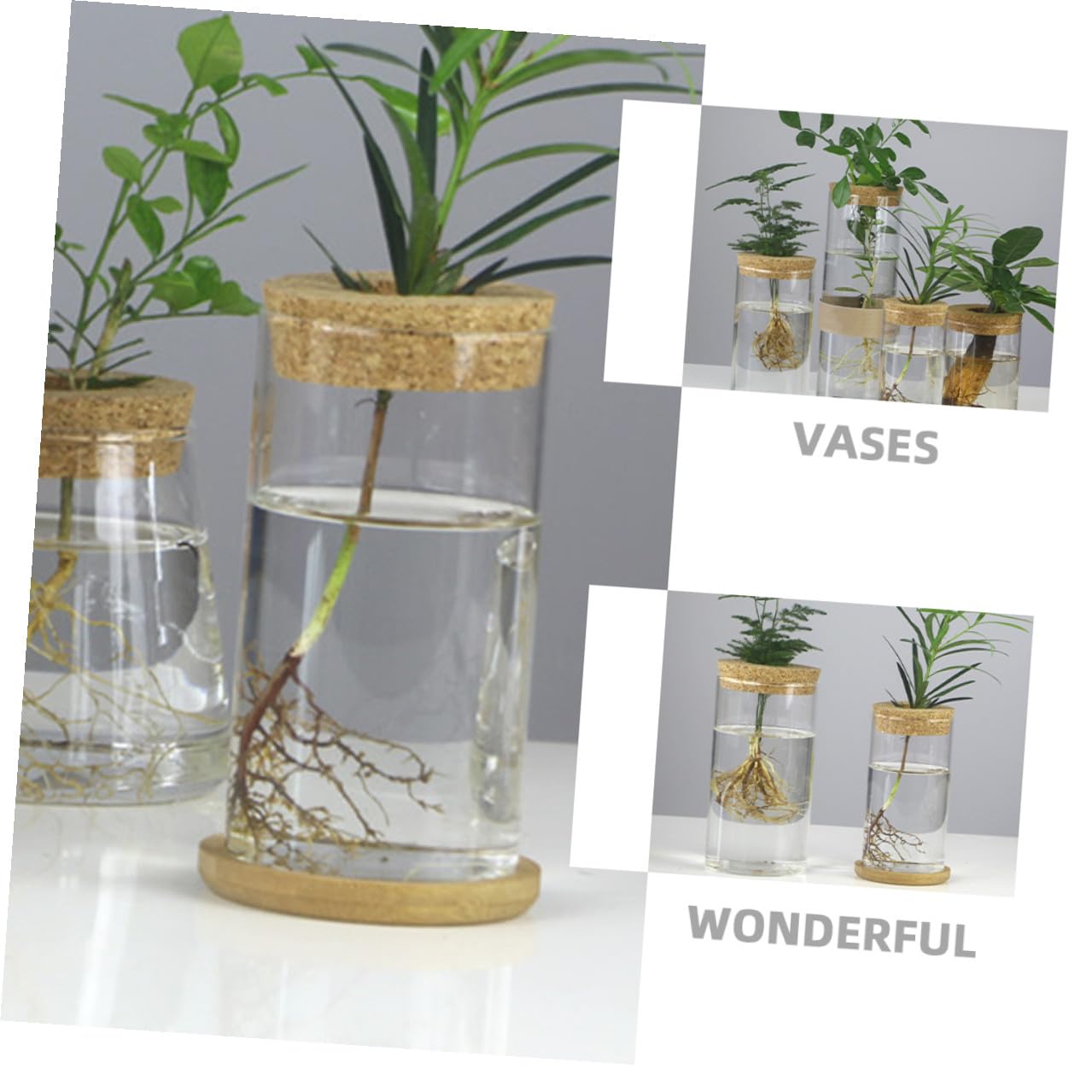 MAGICLULU Glass Hydroponic Vase Set for Succulents and Green Plants, Glass Flower Arrangement Container with Mat, 6.5x12cm, 2pcs Home Décor Terrarium Planter