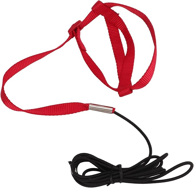 Elastic Parrot Harness Leash Bird Leash Bite Proof Harness Adjustable Parrot Flying Training Rope with Metal Hook Nylon Webbing for Cockatiels Walking (S)