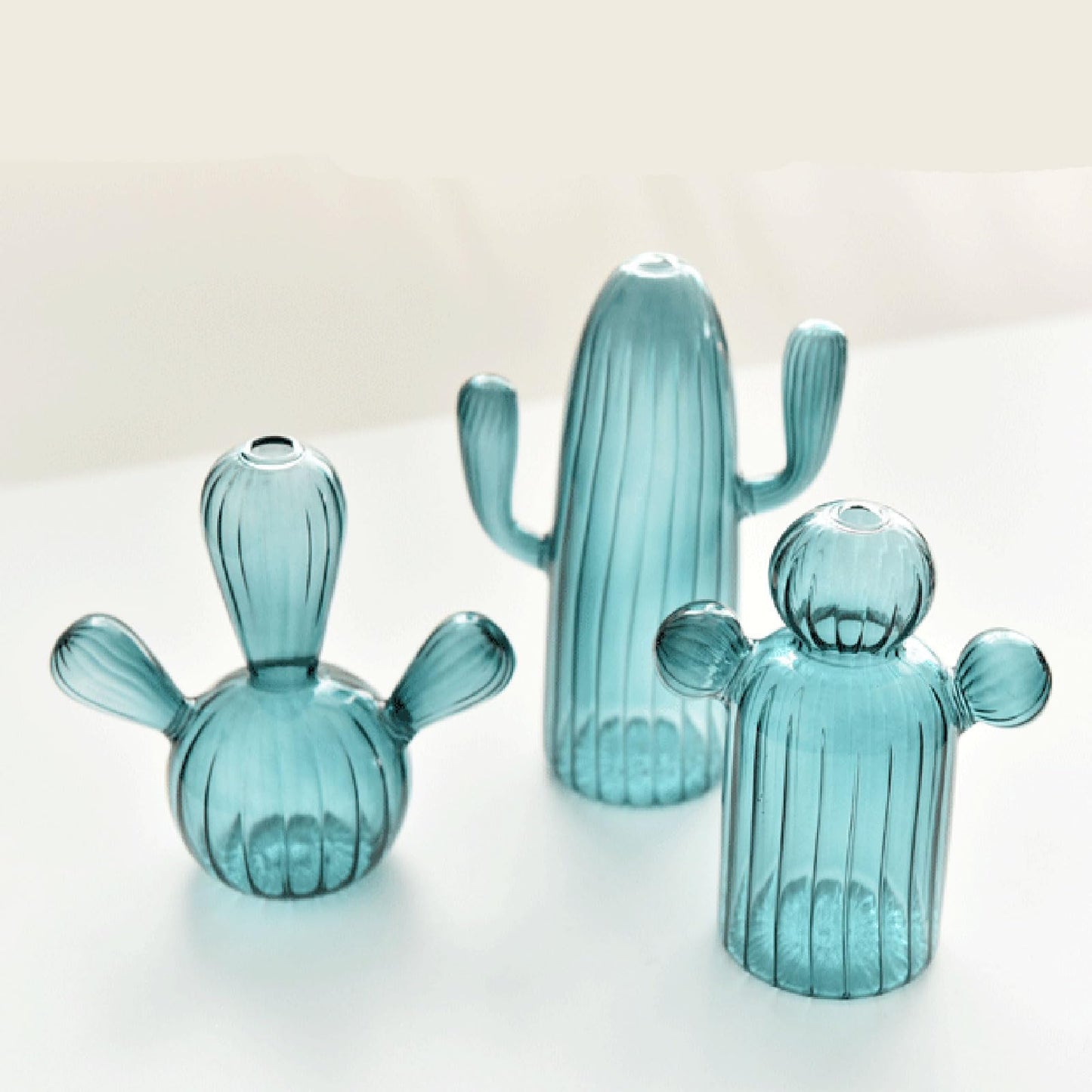 Cactus Glass Vase Flower Plant Flowerpots Decorations Home Hydroponics Terrariums Flower Arrangement Flowerpots Livingooms Decors Cactus