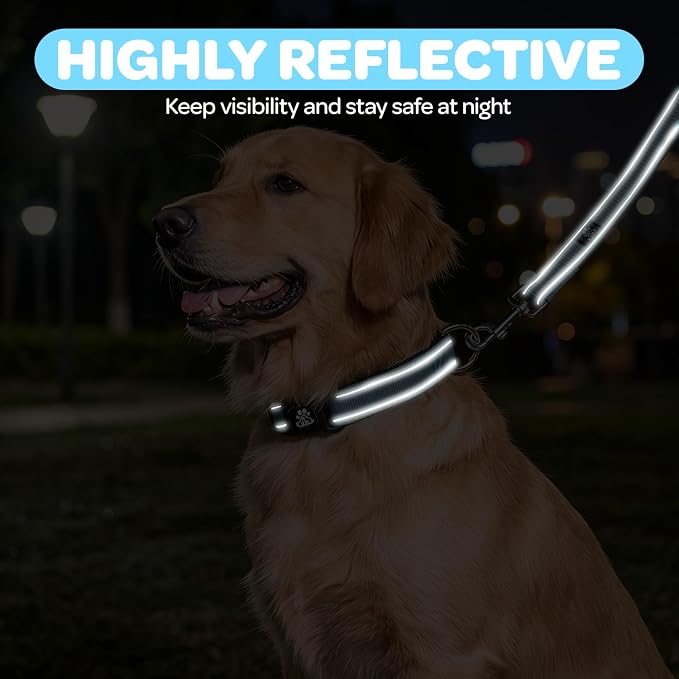 FURRYFECTION Reflective Dog Collar and Leash Set With Quick Release Buckle, Padded Neoprene Adjustable Nylon for Small Medium and Large Dogs (Medium Collar+5FT Leash, Blue)