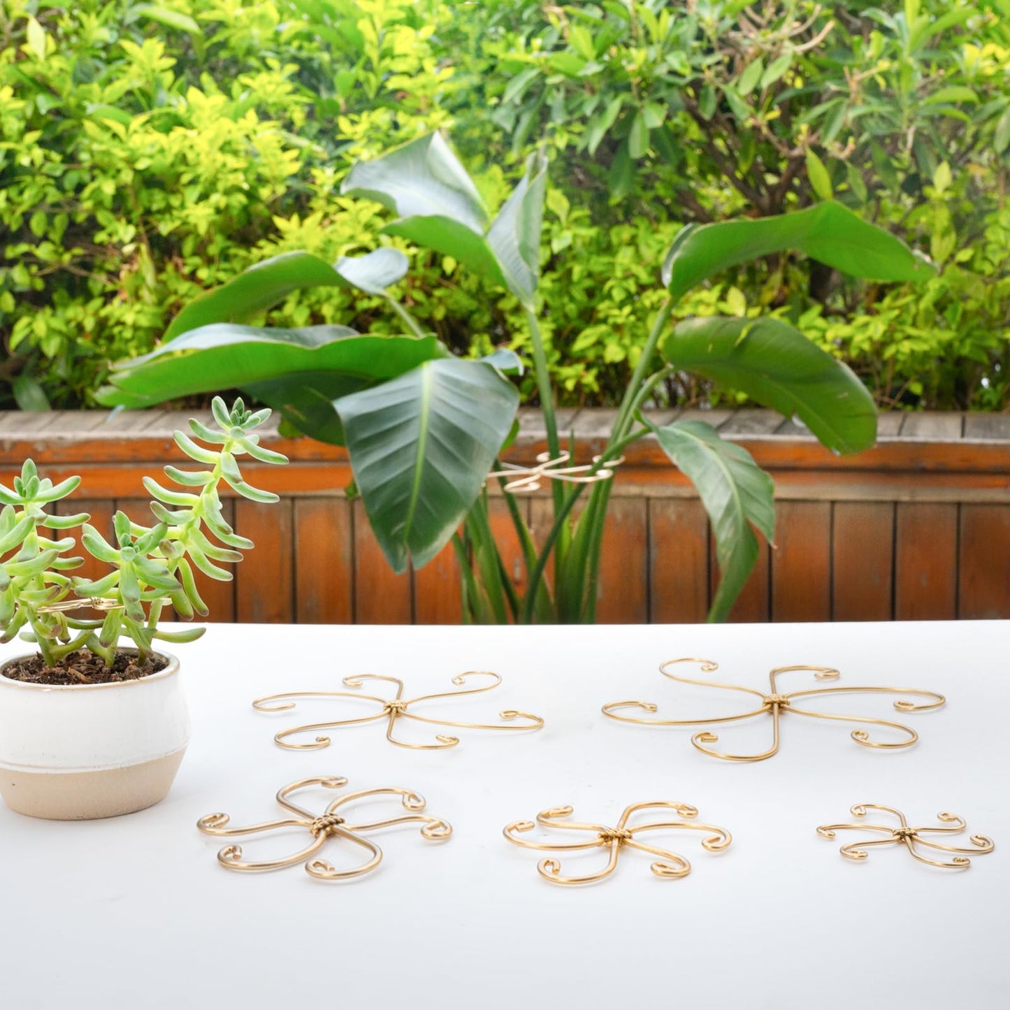 Yohsnor Monstera Plant Stem Support Set of 5 - Durable 7.5in Indoor Stabilizers for Fishbone Cactus - Enhances Growth & Home Decor - Ideal Plant Care Solution
