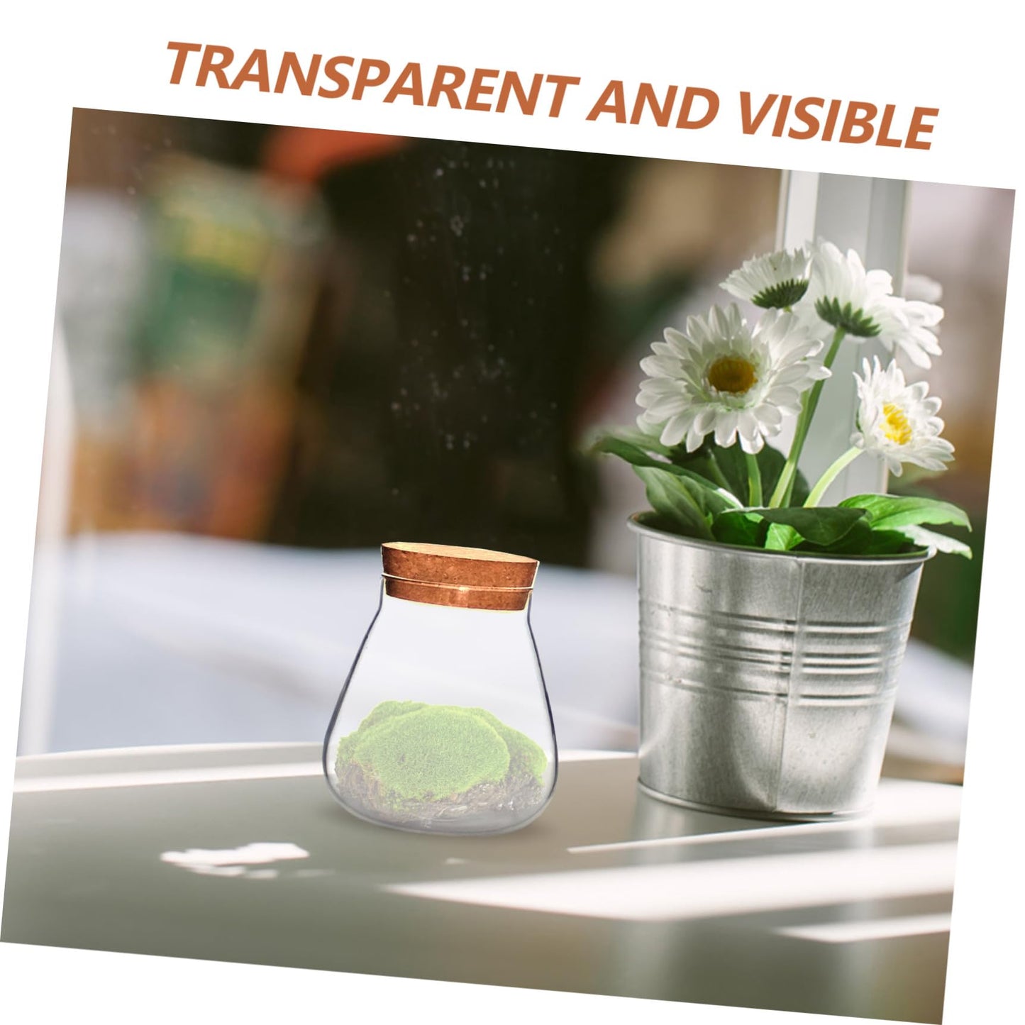 HOMSFOU Plant Propagation Station Terrarium Glass Planter Vase with Cork Clear Plant Holder Flower Jars Hydroponics Air Planter Holder Candy Jar for Home Office