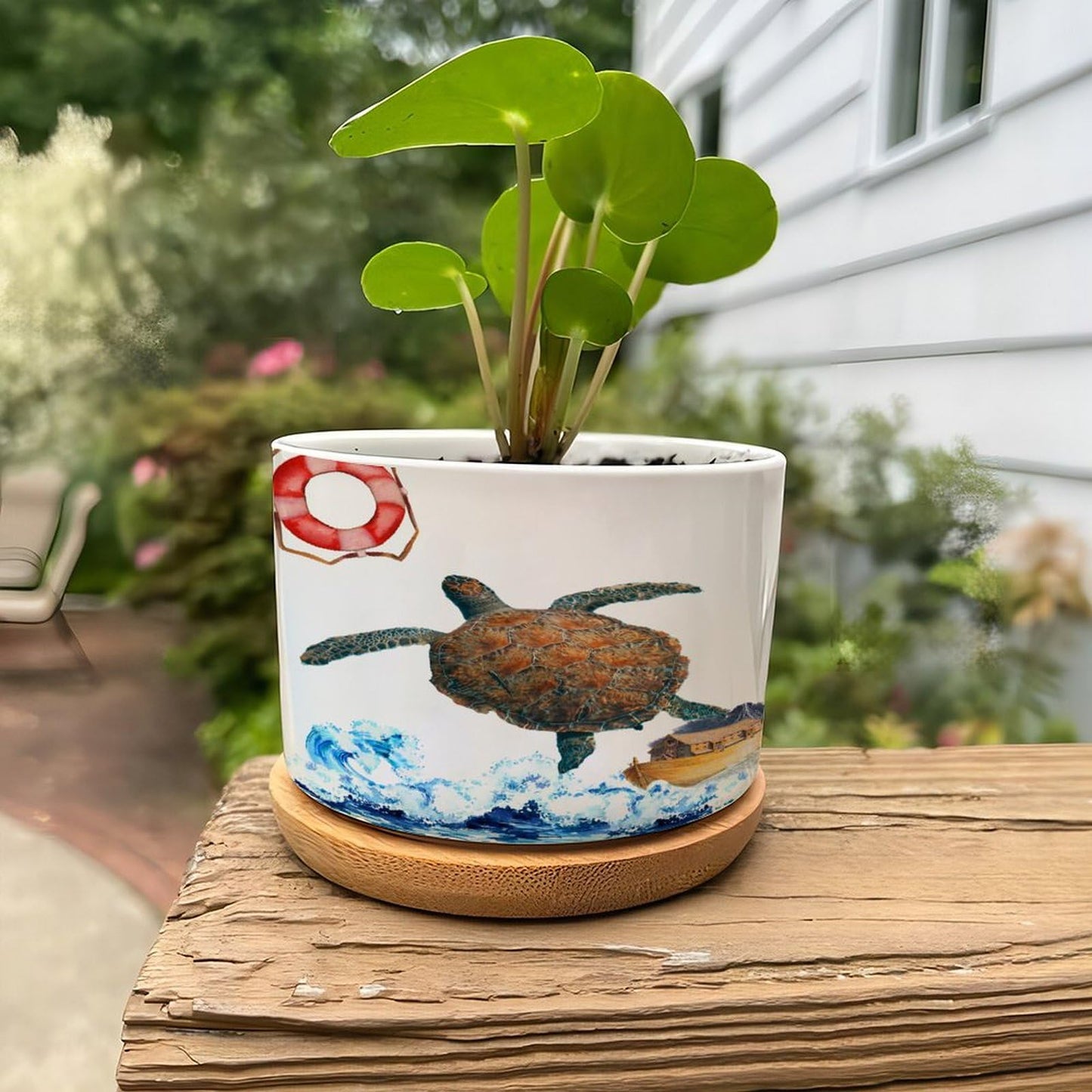 DreamAutumn Ocean Theme Sea Turtle Ceramic Planters Ceramic Pots with Saucers Orchid Pots for Plants Succulents Pots Office Desk Garden Balconys New Home Decor,Gifts for Mom Mother Grandmother