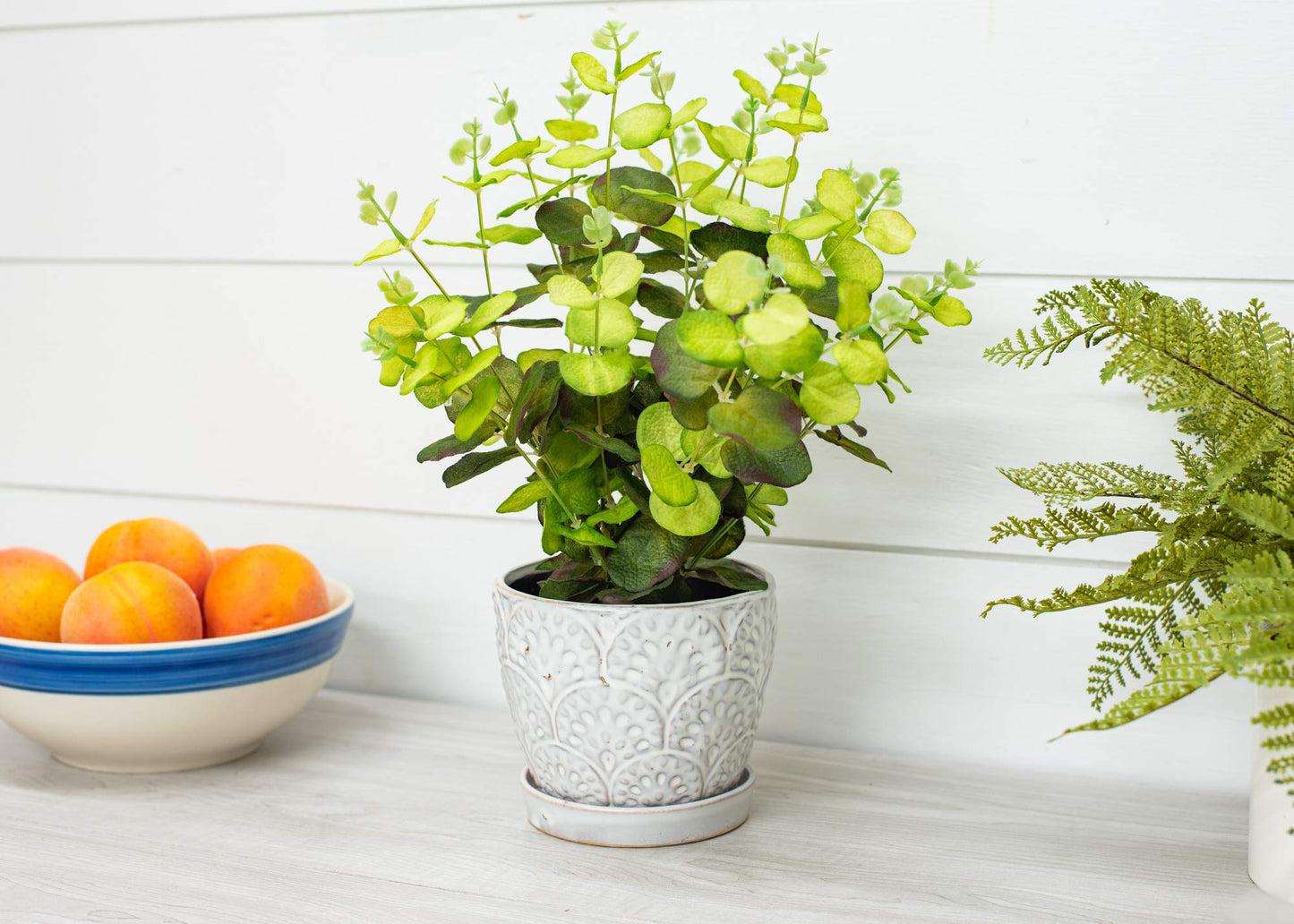 Napco Imports Scalloped Ivory and Jet Black 5 Inches Ceramic Glazed Indoor or Outdoor Planter Pot