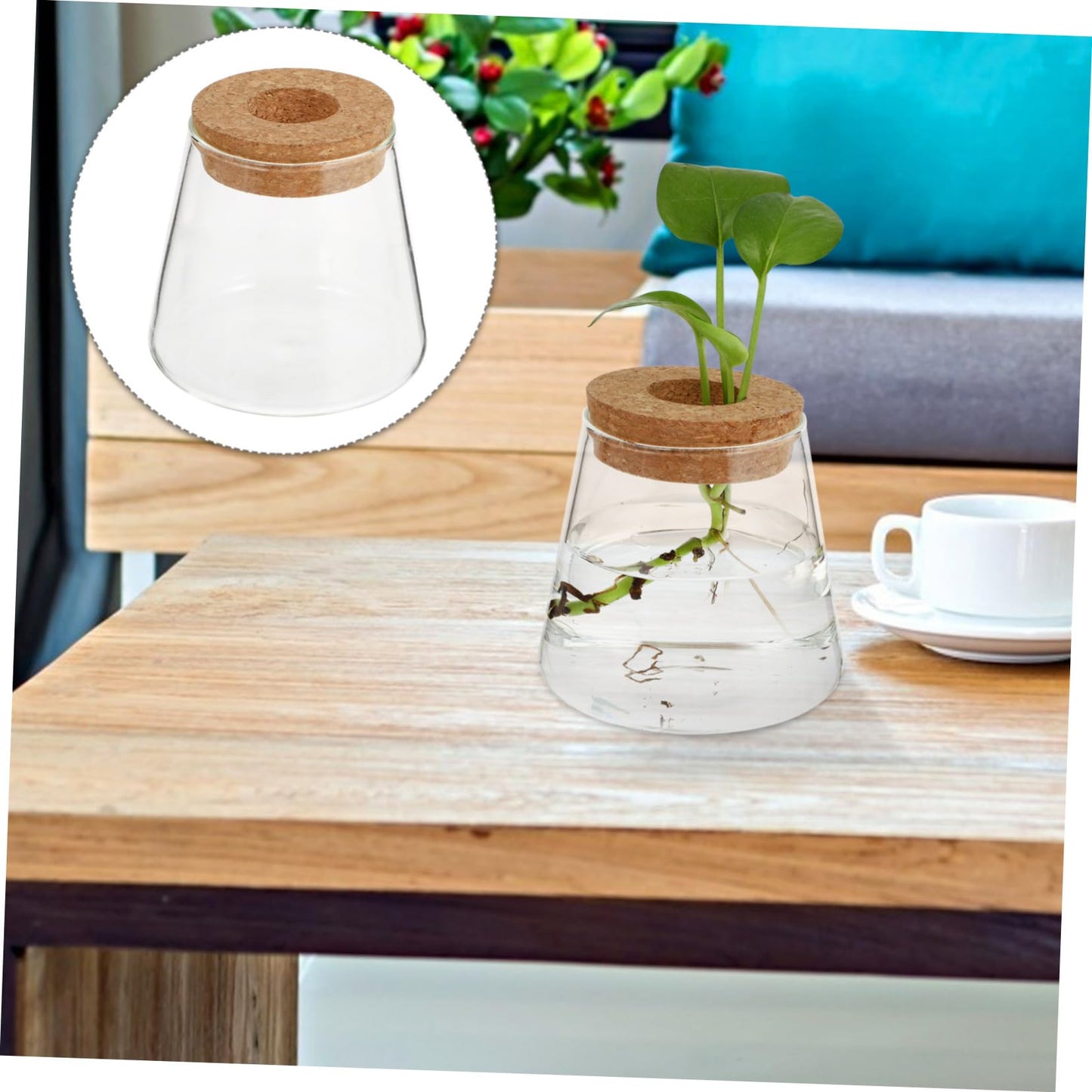 Ipetboom 2Pcs Glass Hydroponics Vase for Desktop Plant Propagation Home Decoration Terrarium Planter with Smooth Finish Stylish Glass Bottles for Floral Arrangement and Gift Ideas
