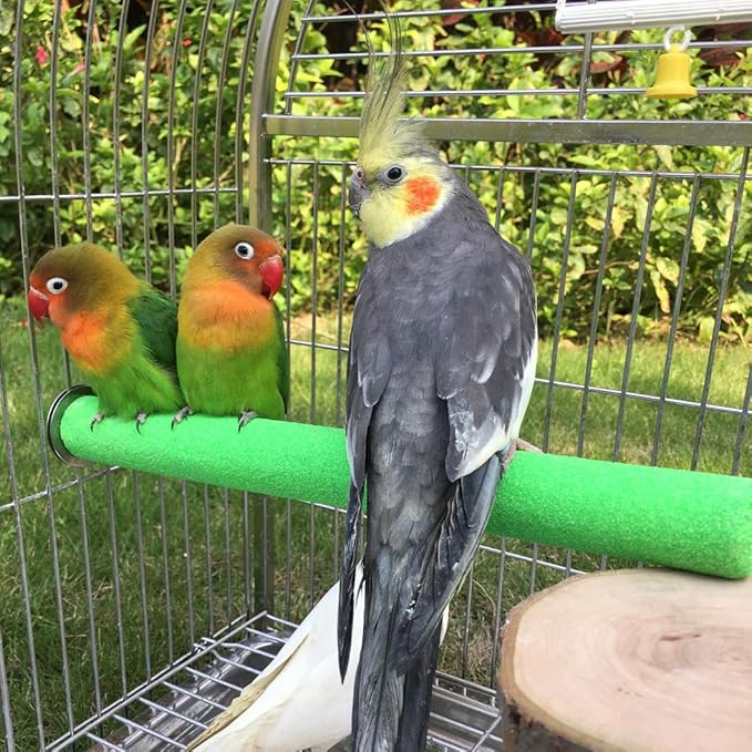 Bird Perch Rough-surfaced Nature Wood Stand Toy Branch for Parrots (Straight Perch, M)