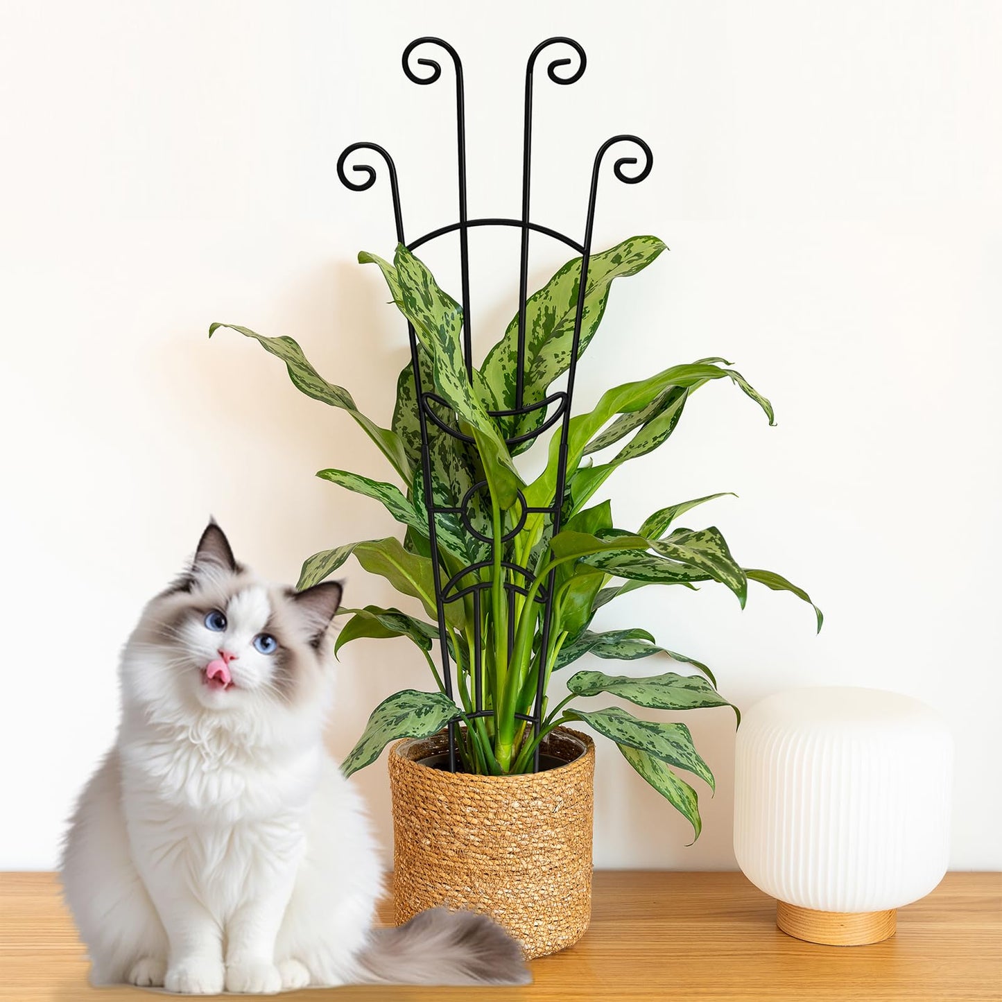 32.6in Monstera Plant Support Stakes for Indoor Plants, Metal Garden Plant Trellis for Climbing Plants, Pothos Vine Snake Climber Support,2p