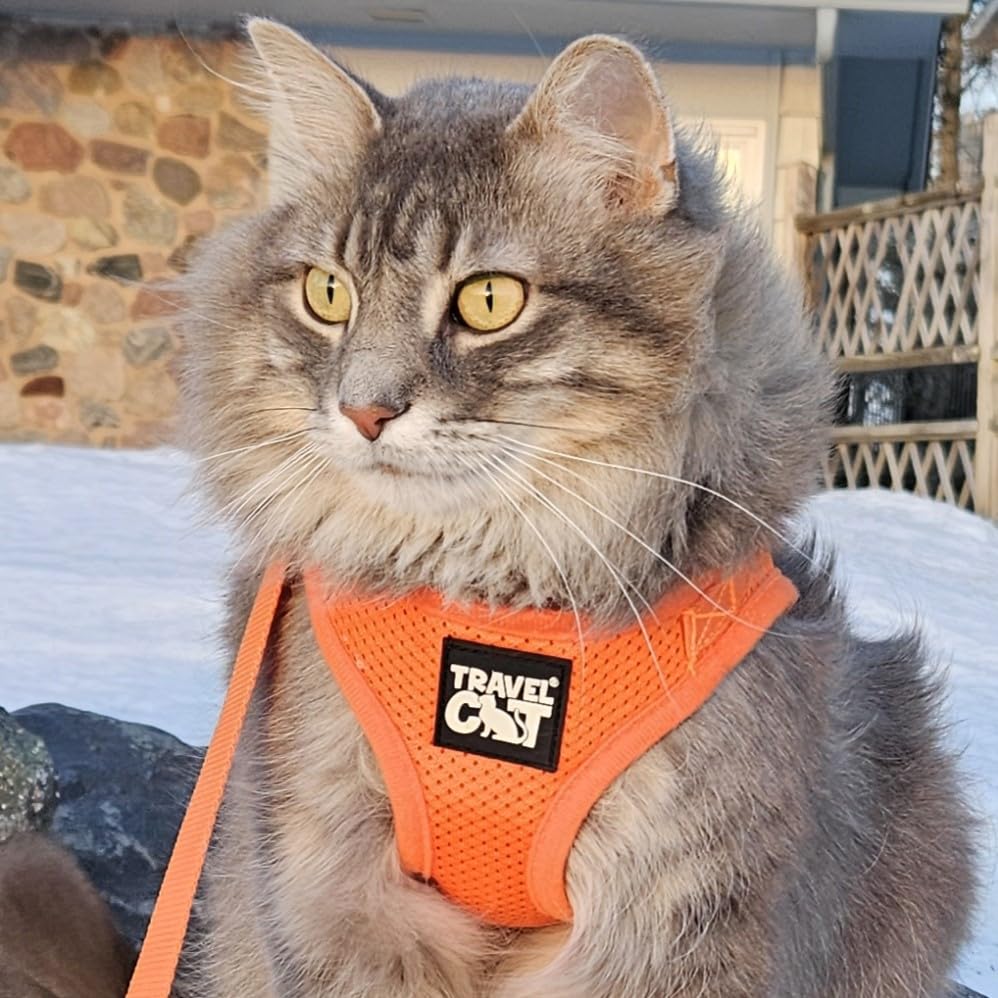 Travel Cat Harness and Leash Set - Adjustable Fit Mesh Cat Harness and Reflective Strap - Comfort Walking Vest for Kitten for Outdoor Walking, Hiking (Medium, Orange)