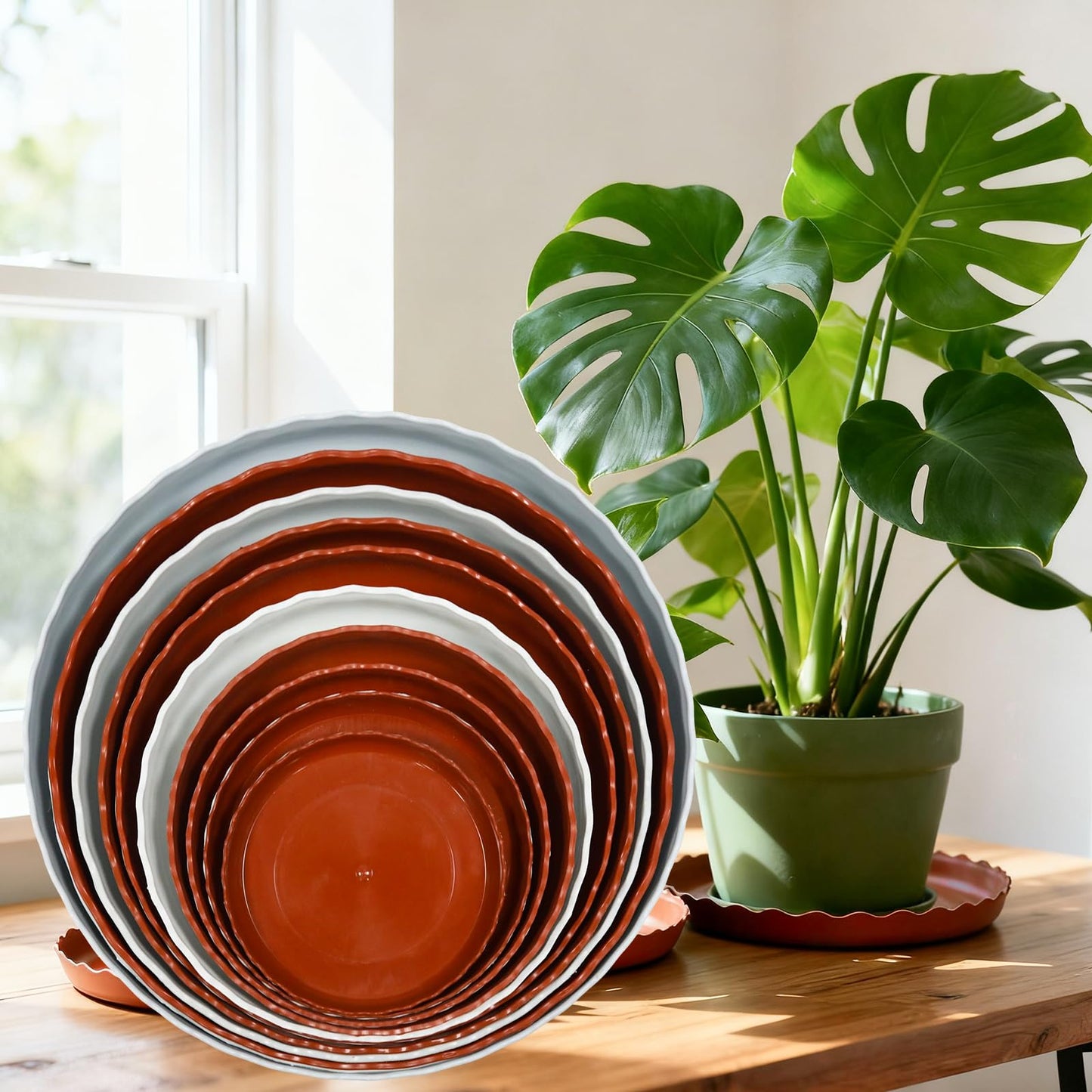 JAKOUE 4 Size Wave Shaped Round Plant Saucer,6 Pack Pant Pot Trays, Plant Saucers for Indoors and Outdoors, Seed Starting Tray, Growing Trays,Terracotta(4",5",6",8")