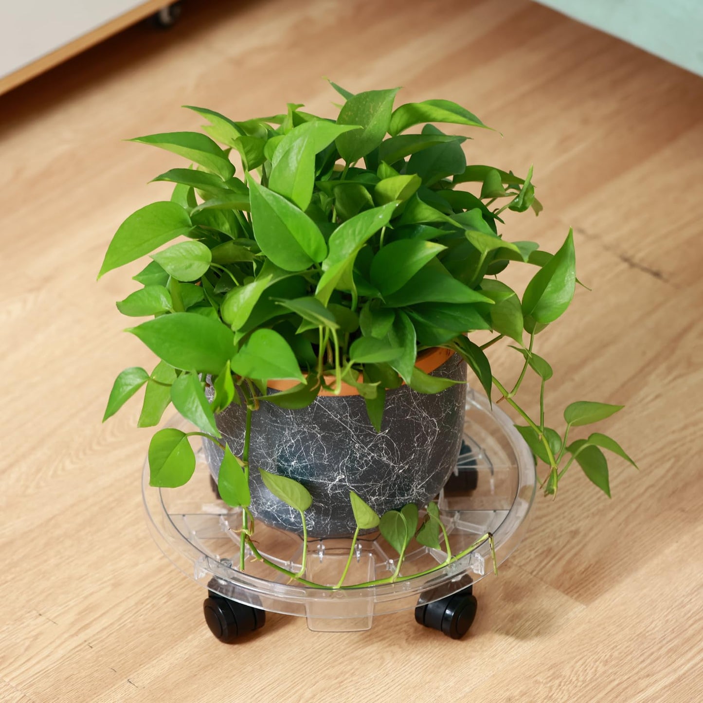 KvyusFlourish 4 Packs 11.8 Inches Large Clear Plant Caddy Plant Saucers on Wheels Rolling Plant Stands Heavy-duty Plant Dolly Plastic Planter Roller Base Pot Movers Outdoor Plant Tray Coaster