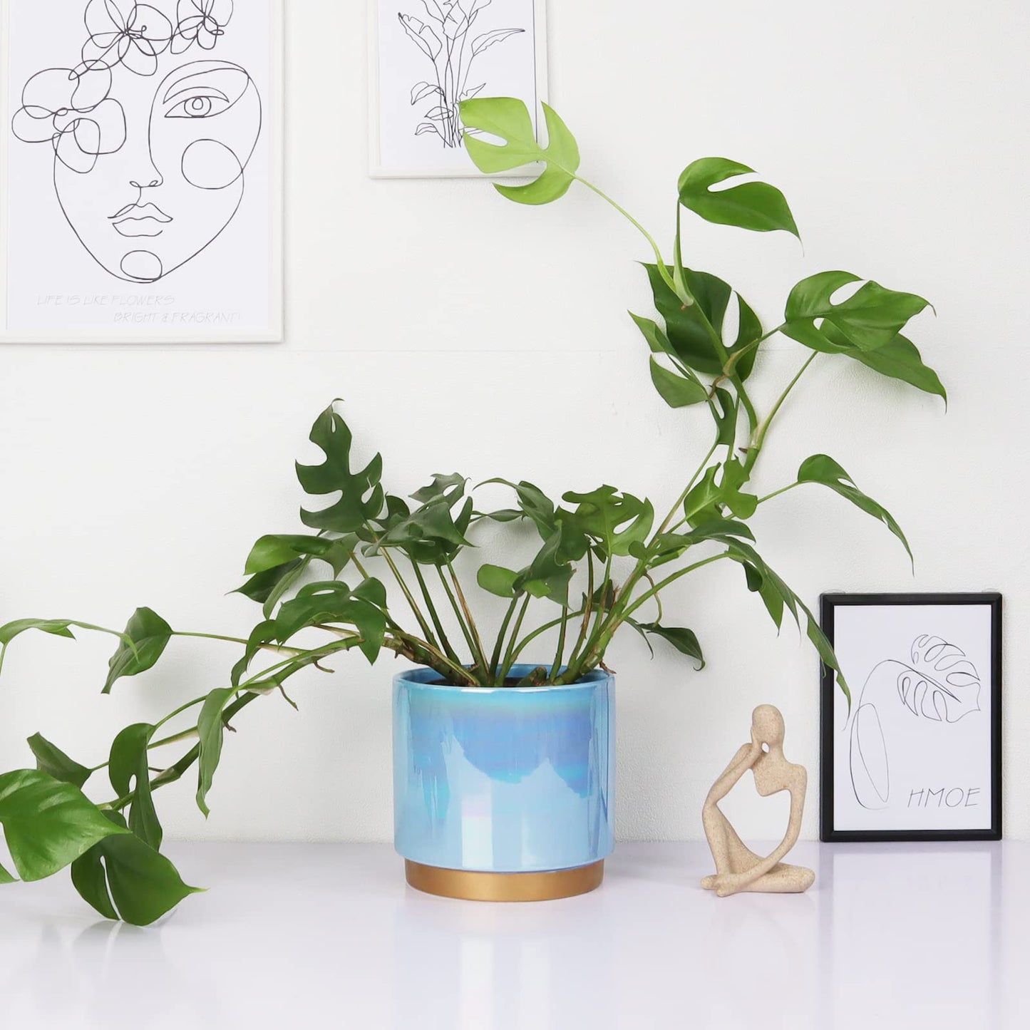 YFFSRJDJ Ceramic Flower Plants Pots Planter with Drainage Hole, 6.0 inch+5.0 Inch. Indoor-Outdoor Large Round Succulent Orchid Pot Set (Blue)