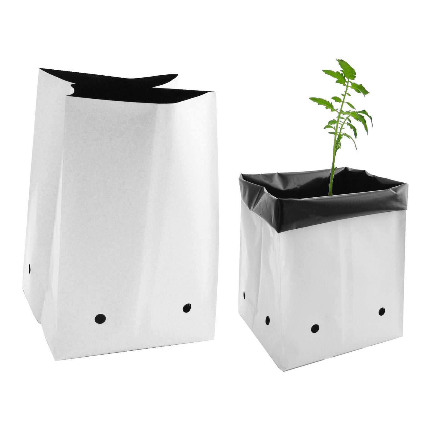 Viagrow Grow Bags Thick Plastic Grow Bags for Potting, Seedlings, Rootings, 3 Gallon 50 Pack, White