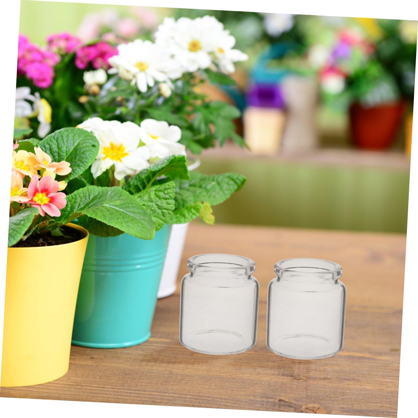ANDRESLAD 10pcs Miniature Glass Bottles for Succulents Test Tube Vases for Micro Landscape Terrariums for Plant Propagation and Decorative Displays
