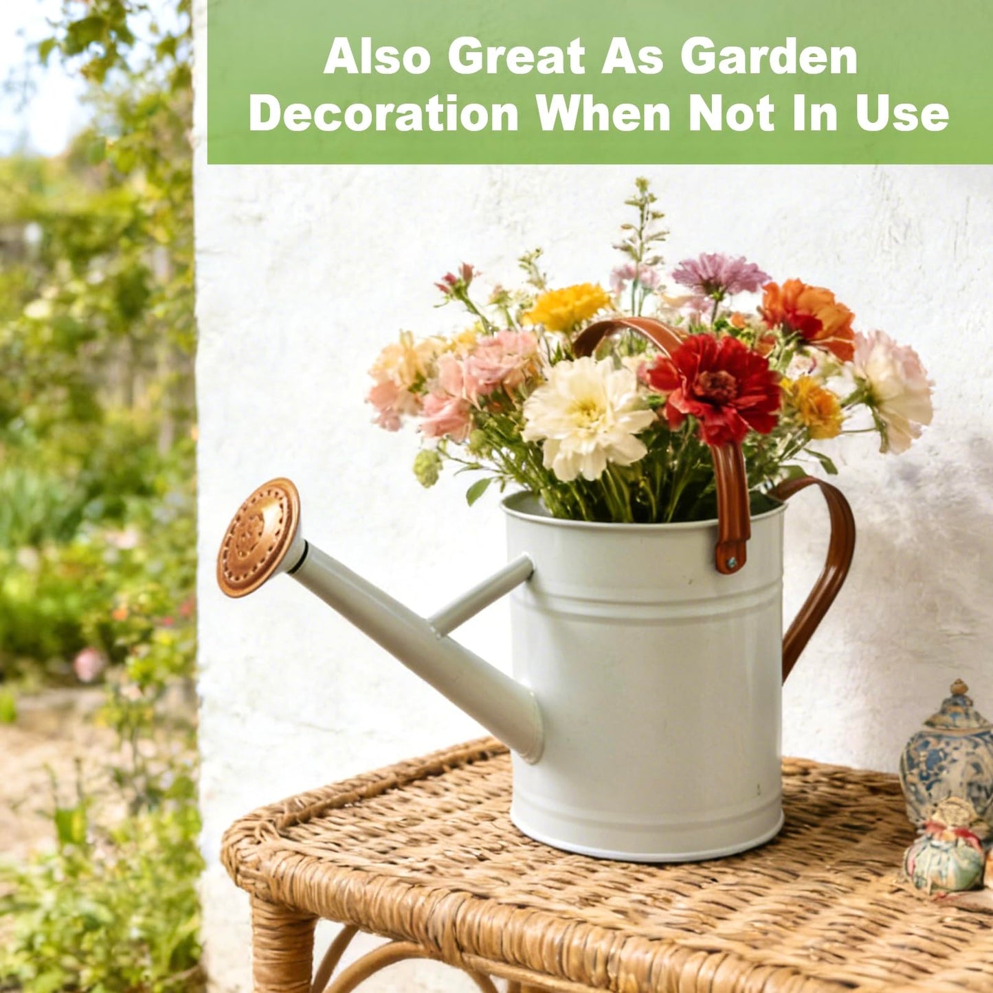 Watering Can for Outdoor&Indoor Plants,1 Gallon Metal Watering Can with with Removable Spout,Galvanized Steel Garden Flower Water Can Plant Watering Pot with 2 Handles,White
