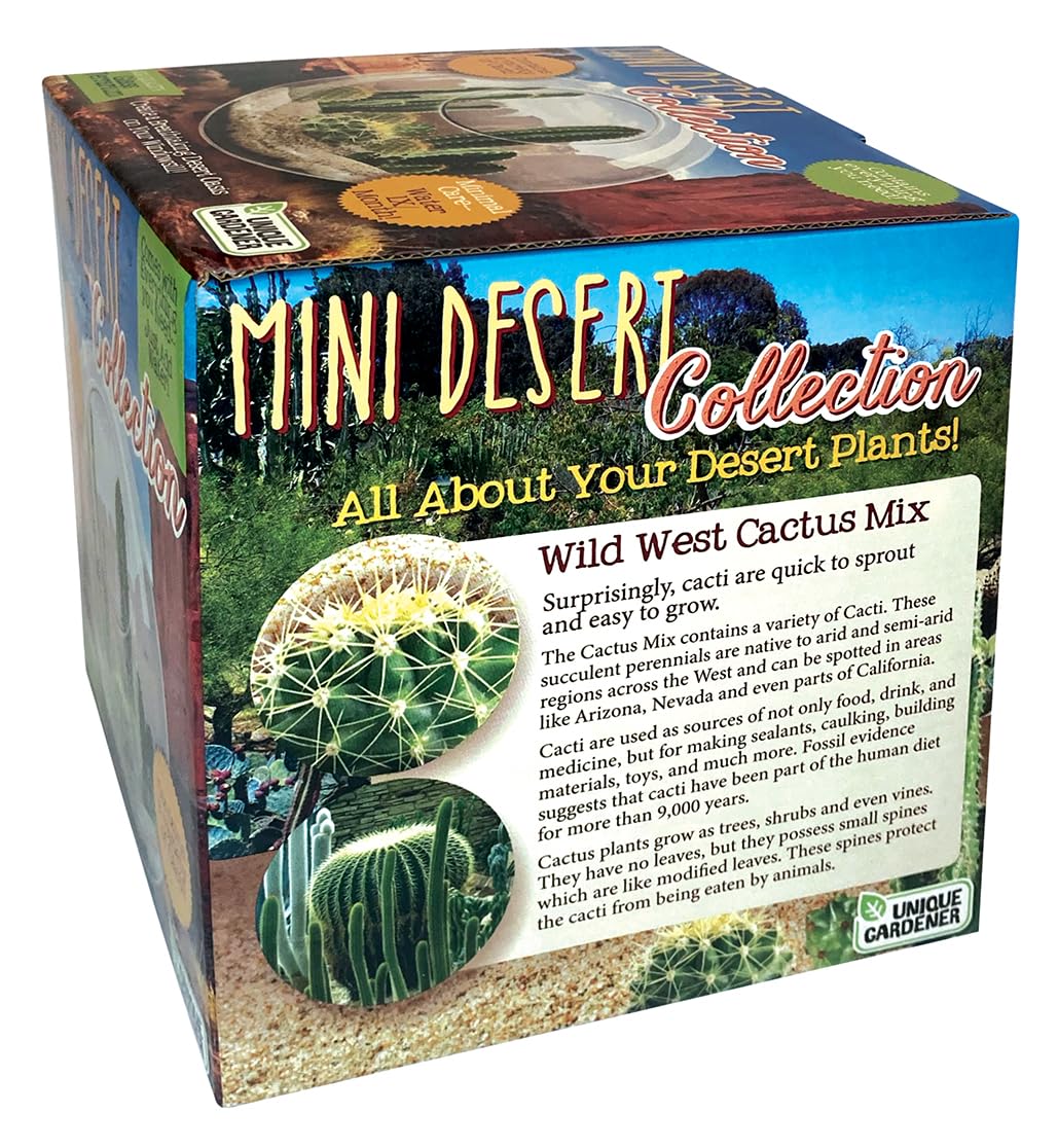 Cactus Succulent Glass Terrarium Starter Kit from Unique Gardener - Grow Your Own Indoor Desert Terrariums - Includes Live Cacti Plants and Easy Setup with Complete Terrarium Supplies