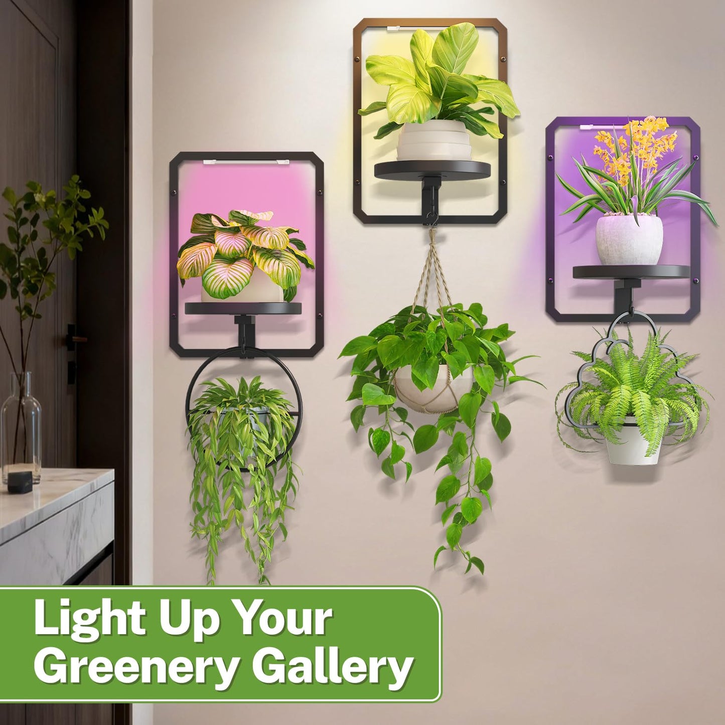iDavosic.ly Wall Plant Picture Frame Holder Set of 3 with 3 Grow Light for Indoor, Metal Stand with Hanging Hooks, Space Saving Floating Flower Display Decor (Pots/Chains/Plants Not Included)