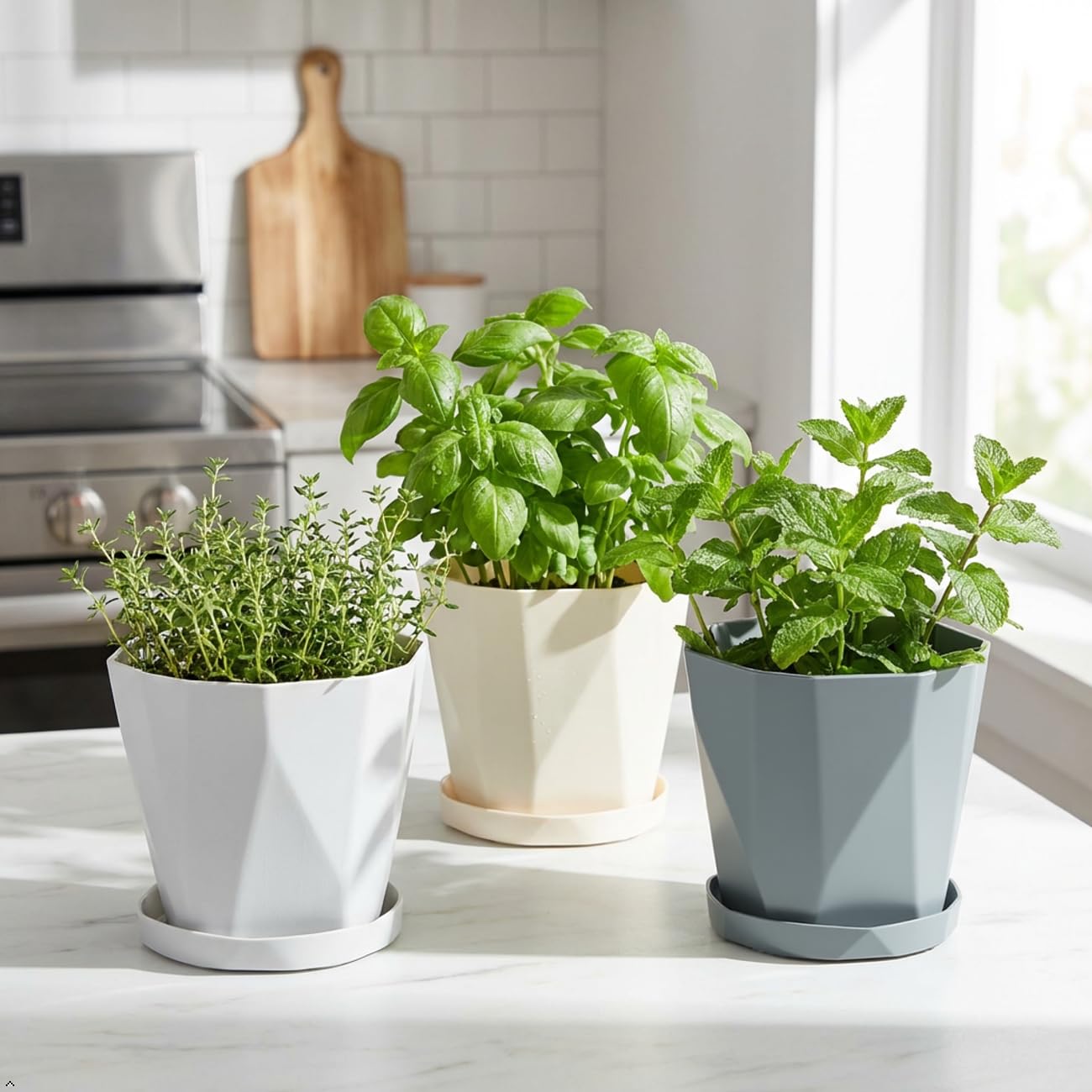 JPORSHU Plant Pots 6.3 inch 3 Pack Indoor Plastic Flower Pots,with Drainage Holes and Saucers Plastic Flower Pot Set Indoor Outdoor for Garden (Medium)